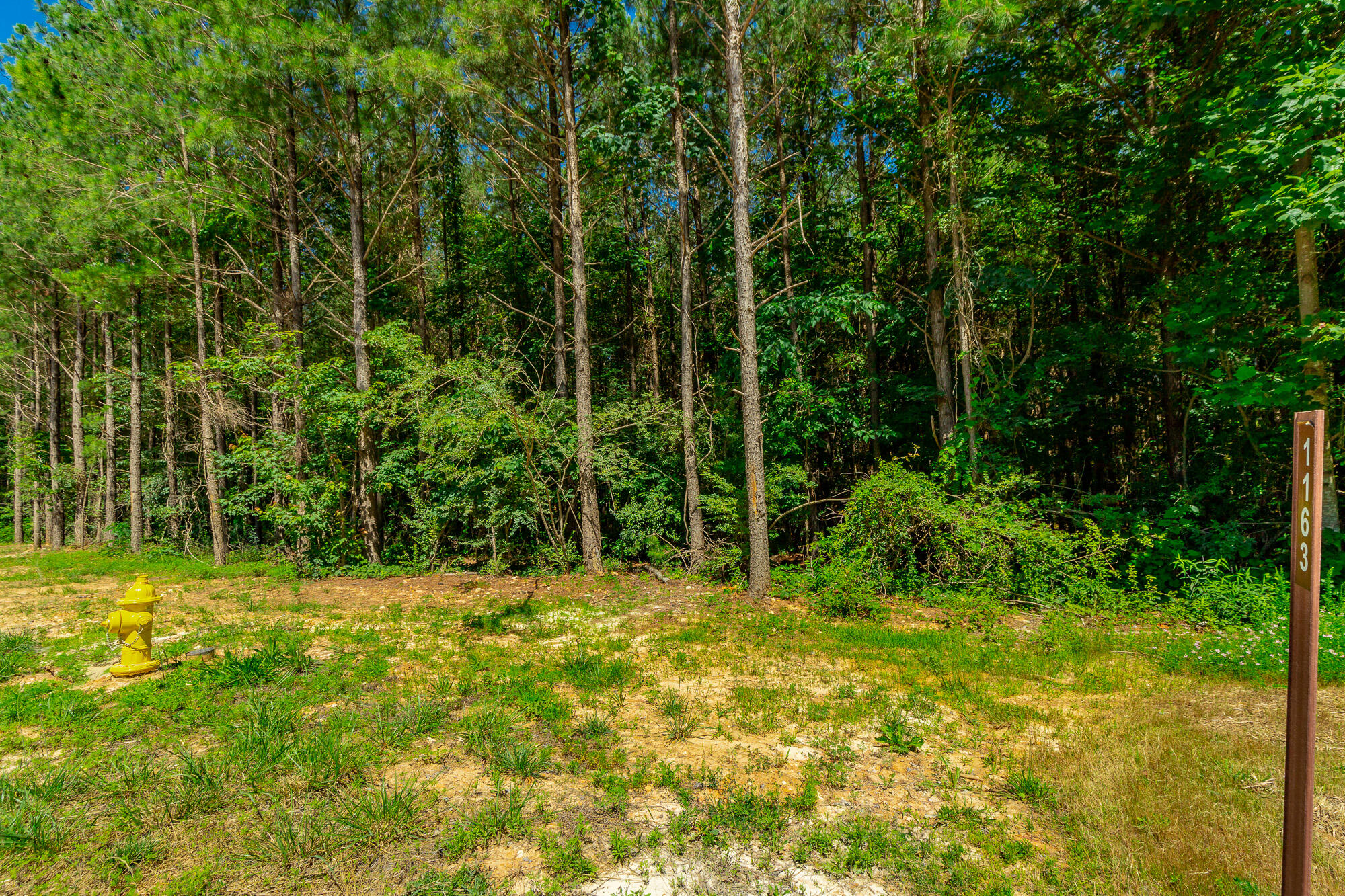 1163 Split Rail Way Property Photo 64