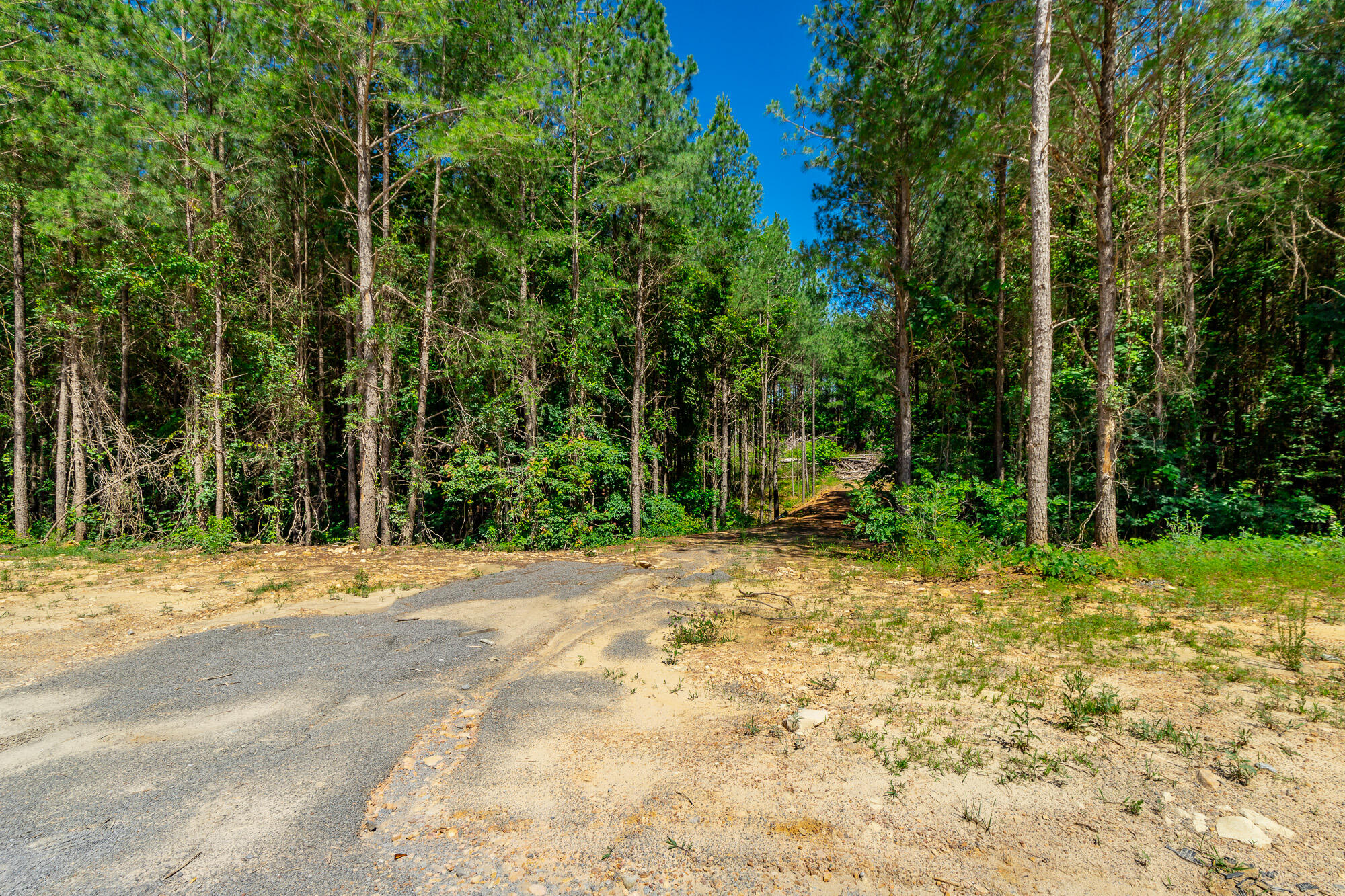 1163 Split Rail Way Property Photo 65