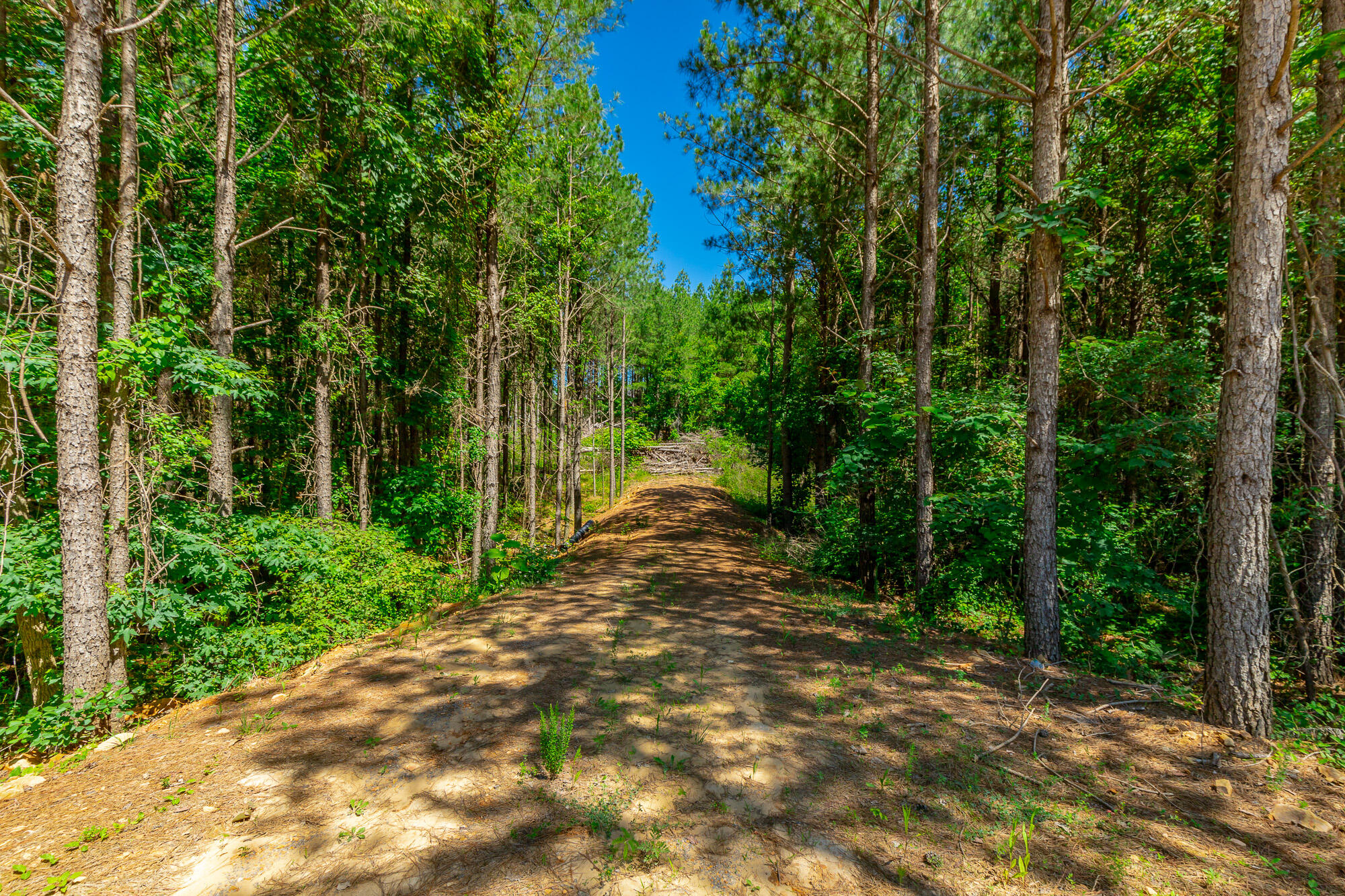 1163 Split Rail Way Property Photo 66