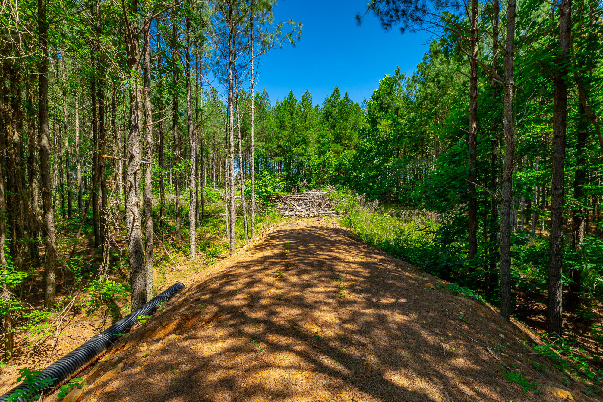 1163 Split Rail Way Property Photo 67