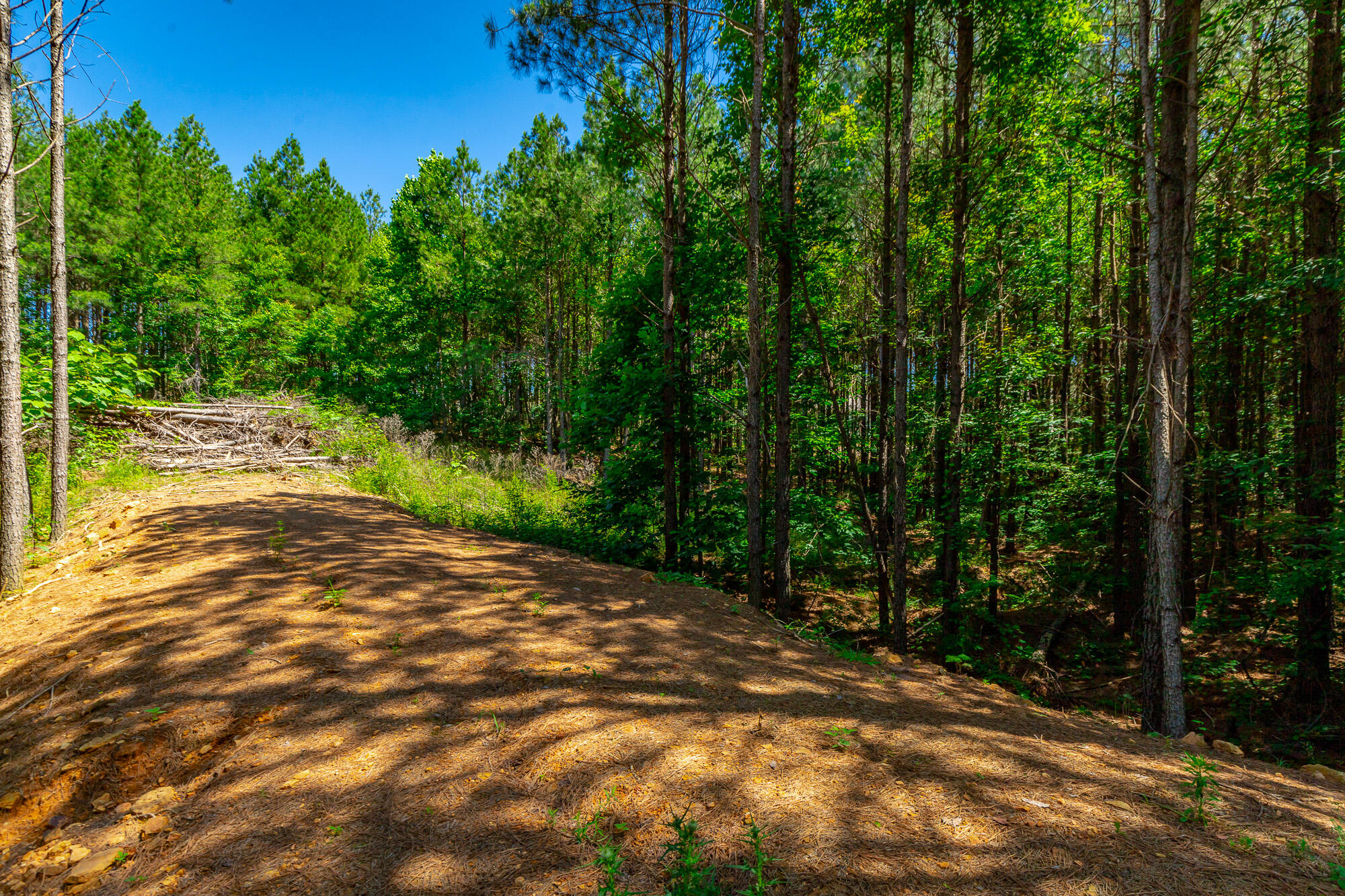 1163 Split Rail Way Property Photo 68
