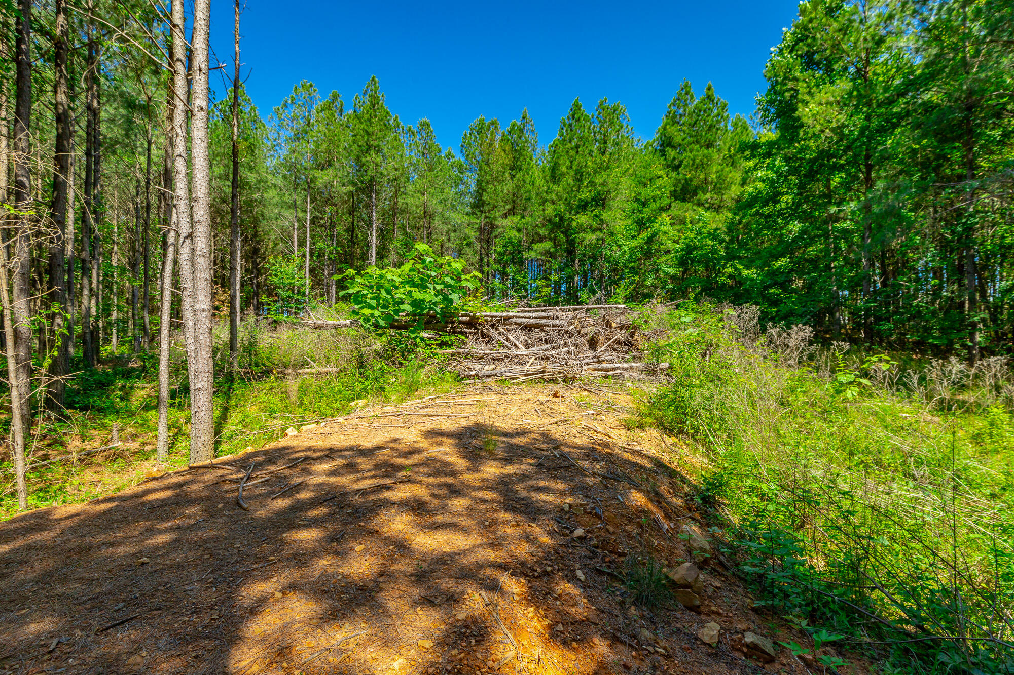 1163 Split Rail Way Property Photo 69