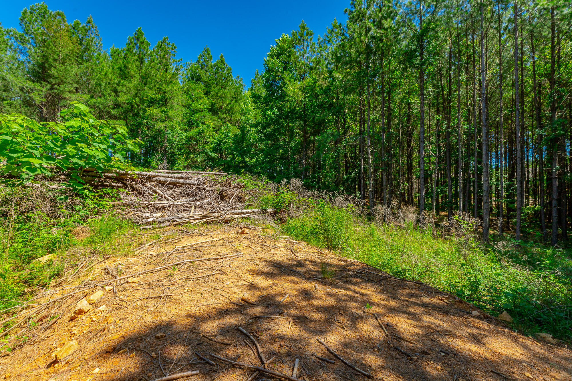 1163 Split Rail Way Property Photo 70