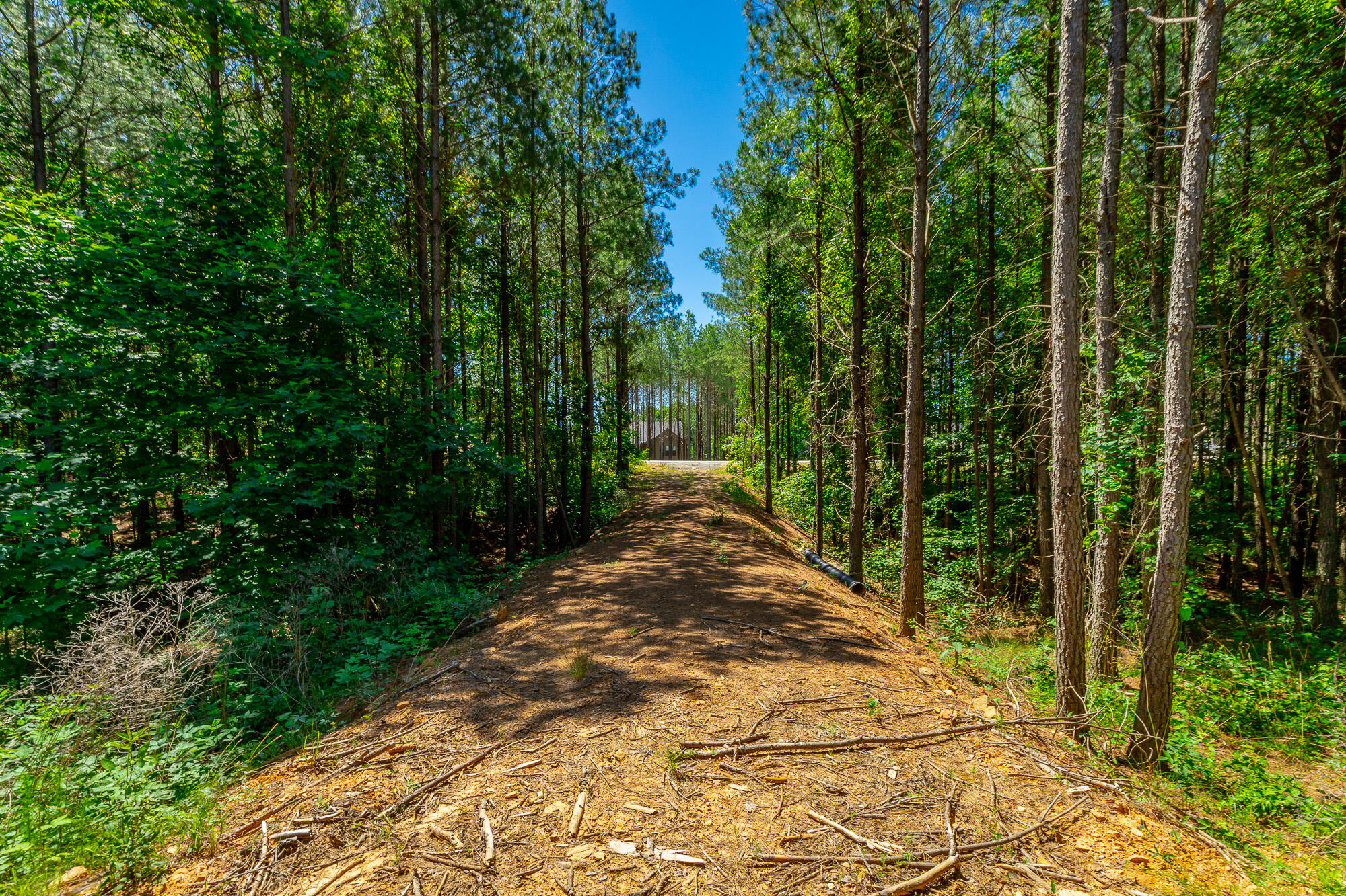 1163 Split Rail Way Property Photo 71