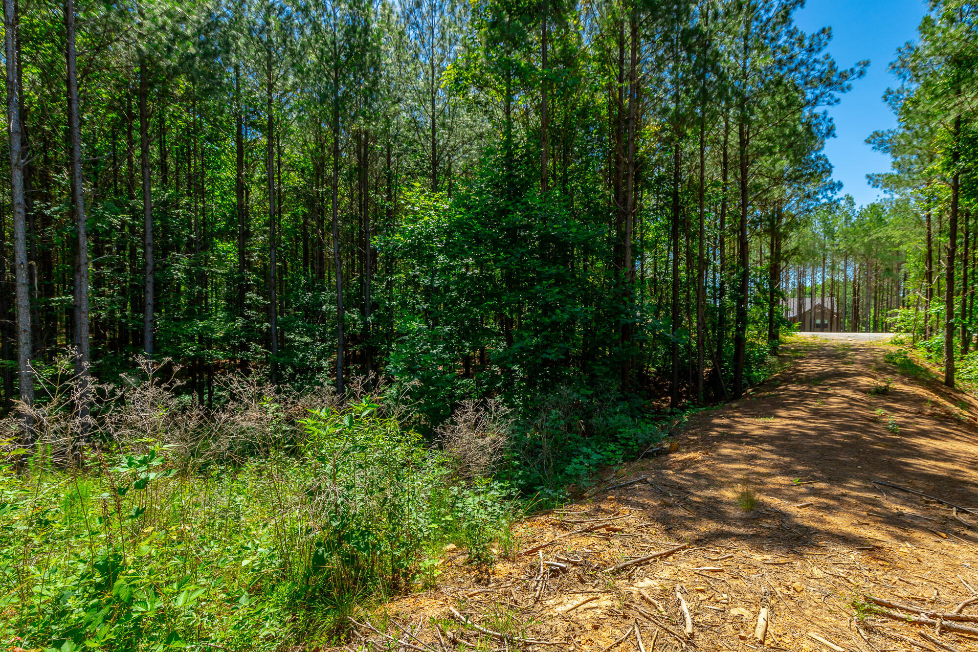 1163 Split Rail Way Property Photo 72