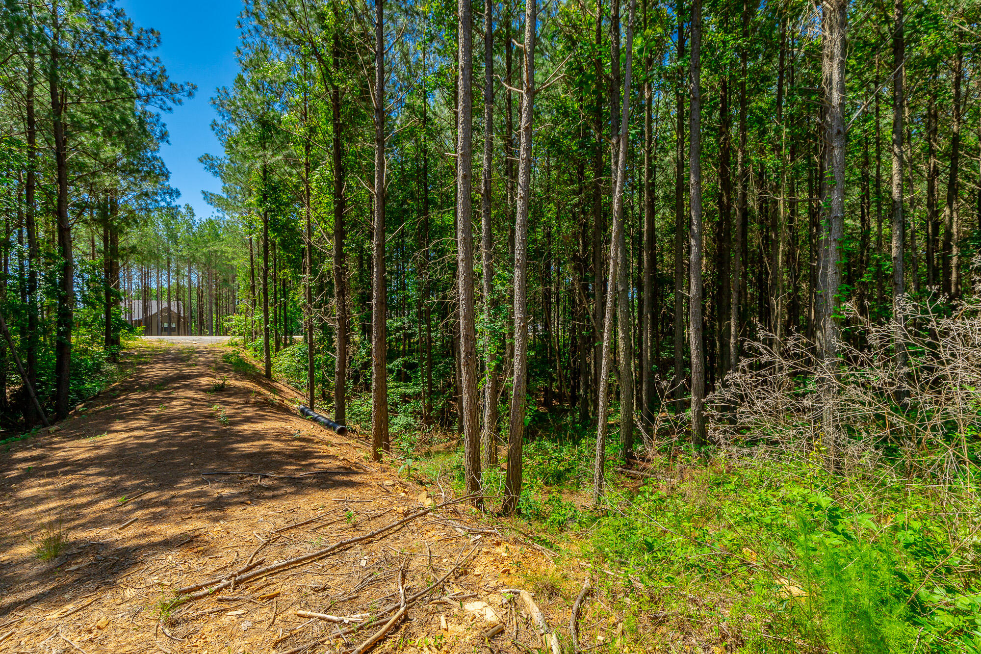1163 Split Rail Way Property Photo 73