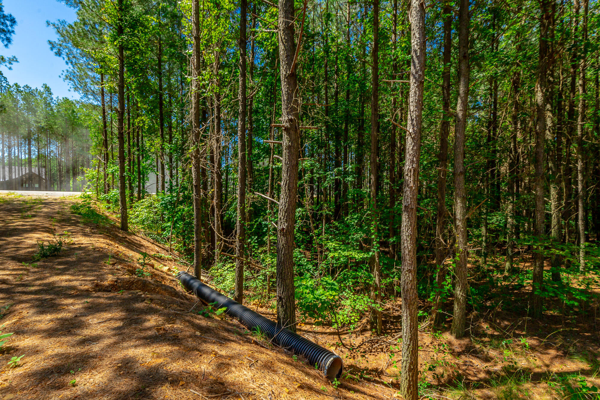 1163 Split Rail Way Property Photo 74