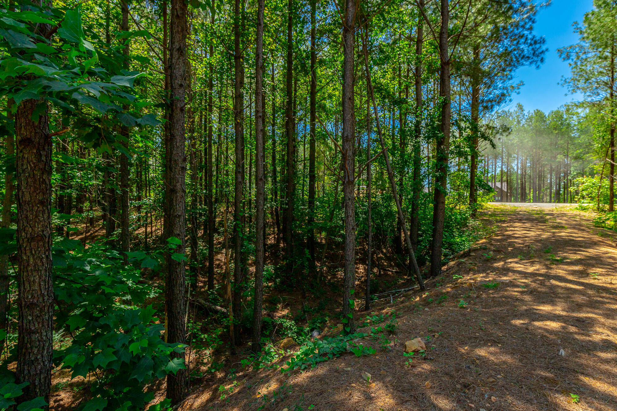 1163 Split Rail Way Property Photo 75