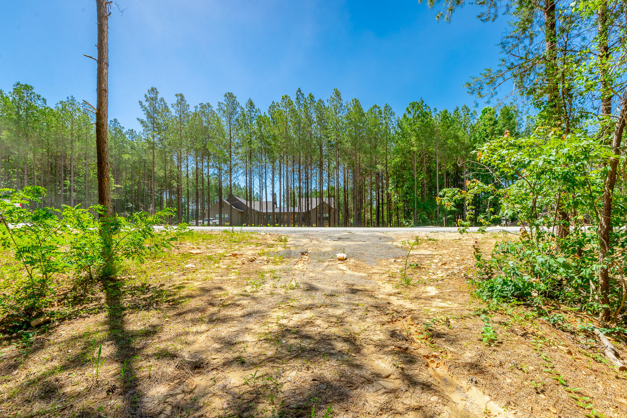 1163 Split Rail Way Property Photo 76