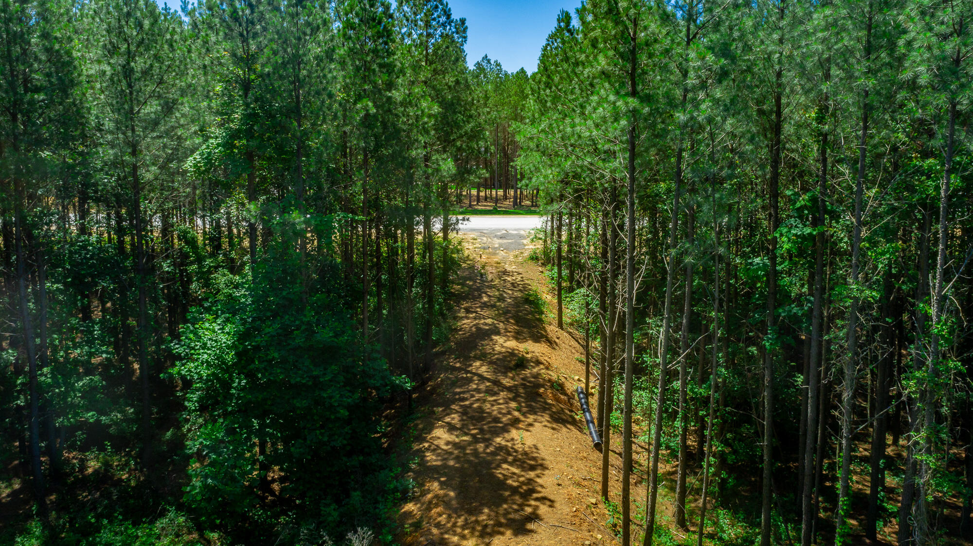 1163 Split Rail Way Property Photo 98
