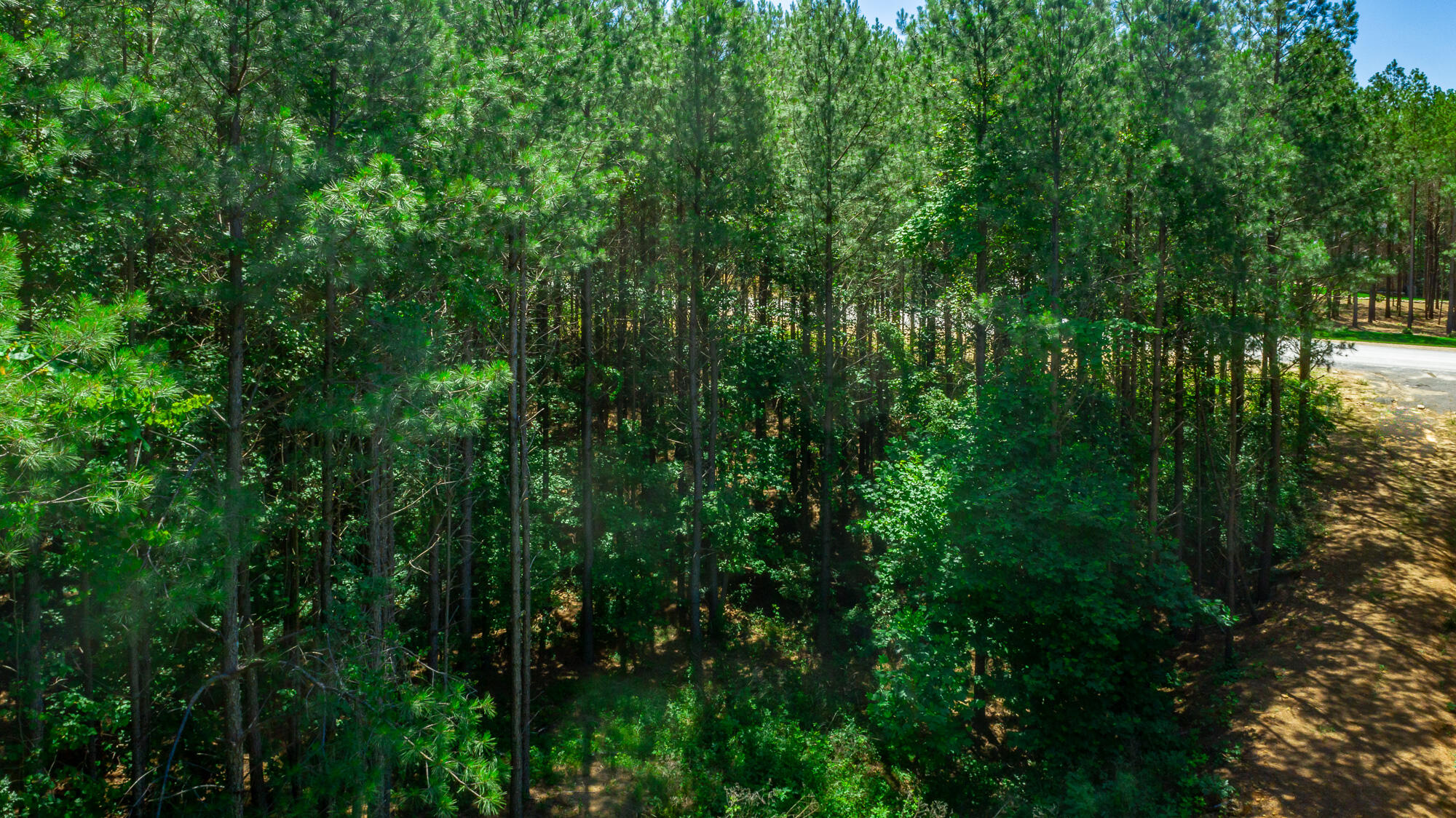 1163 Split Rail Way Property Photo 99