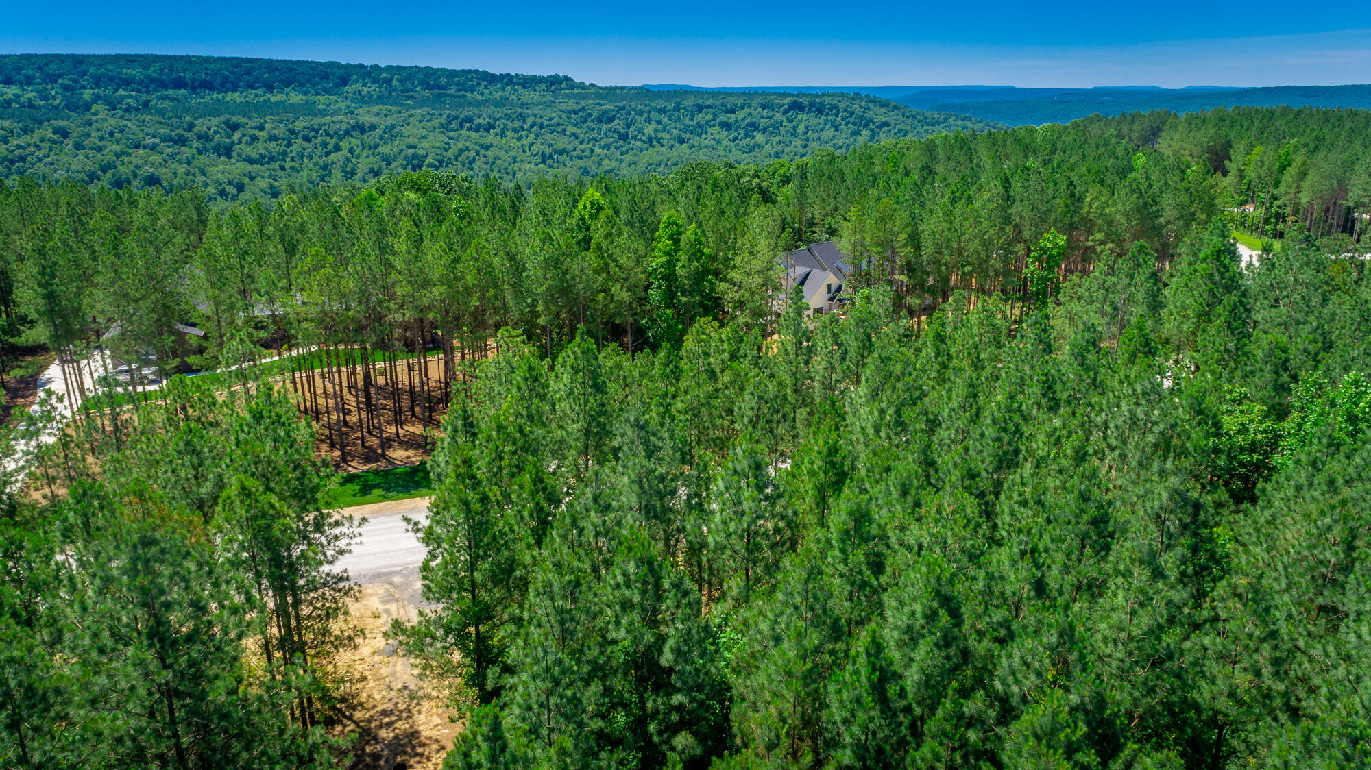 1163 Split Rail Way Property Photo 103