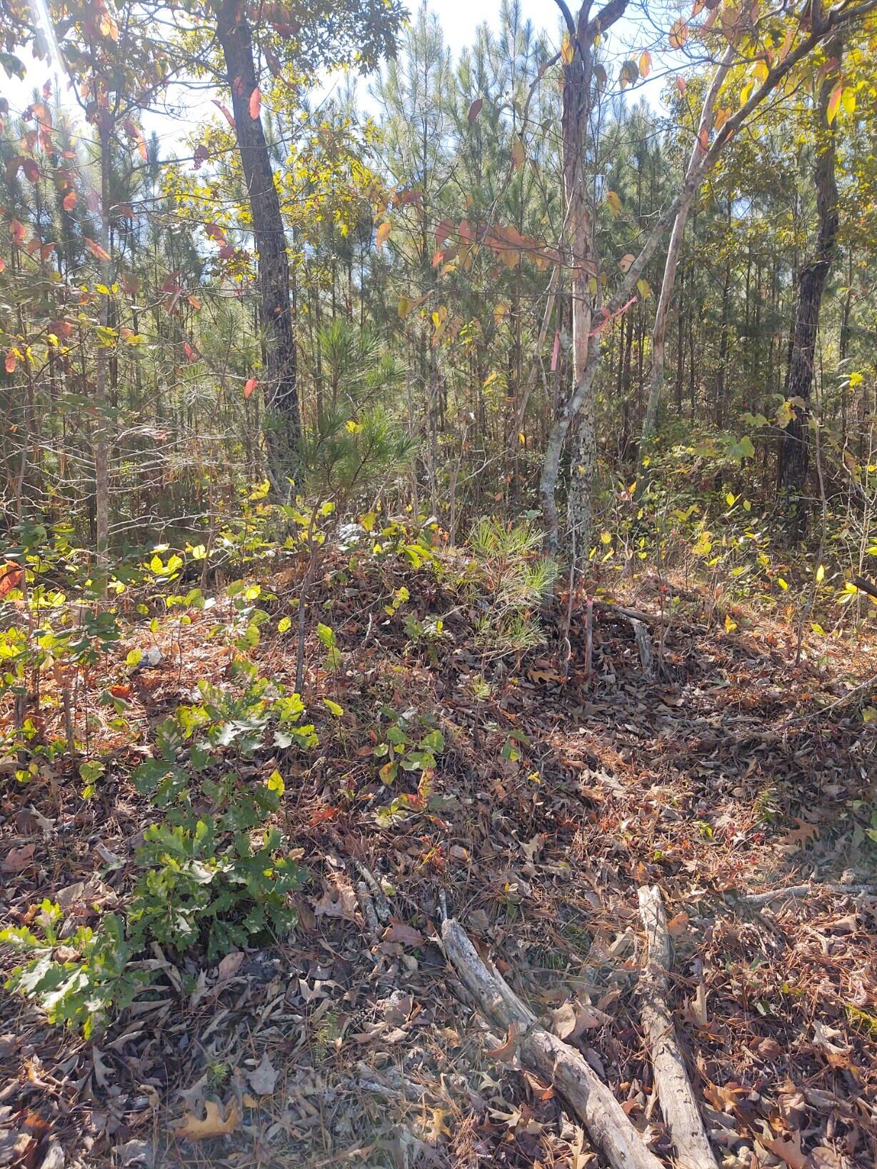 00 Joe Robertson Property Photo 1