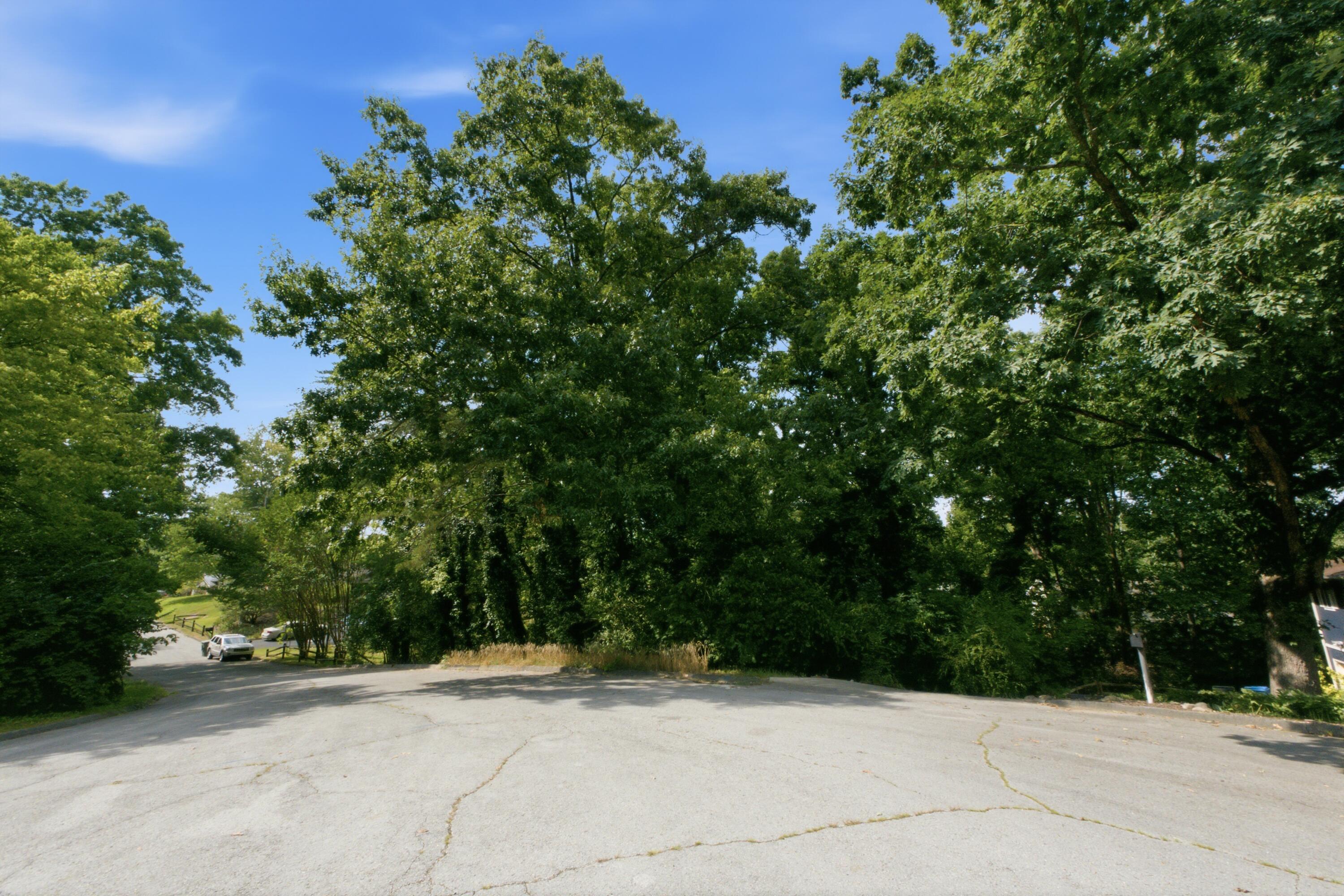 0 Mountain Wood Lane Property Photo 1