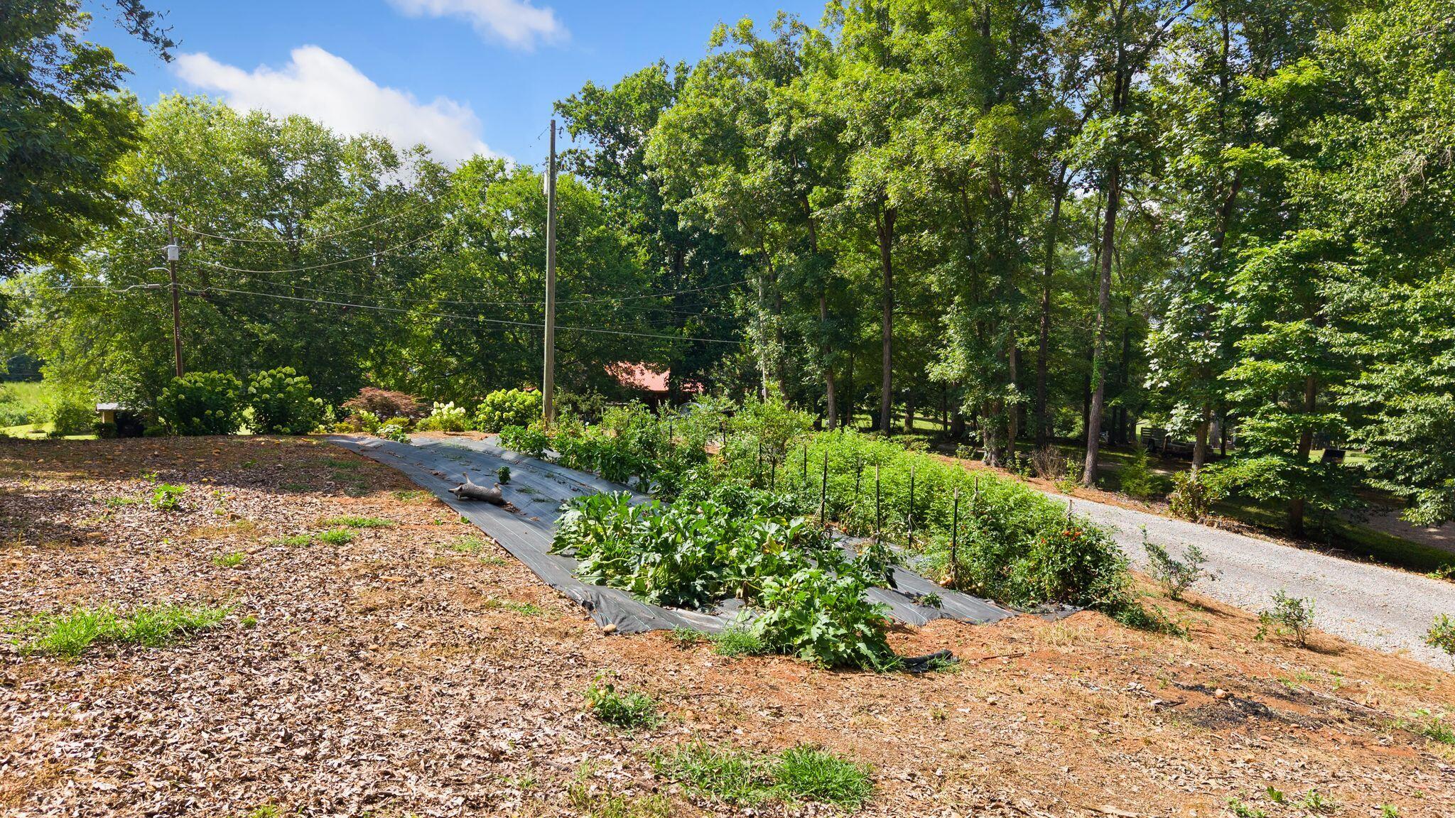 800 Reynolds Bridge Road Property Photo 55