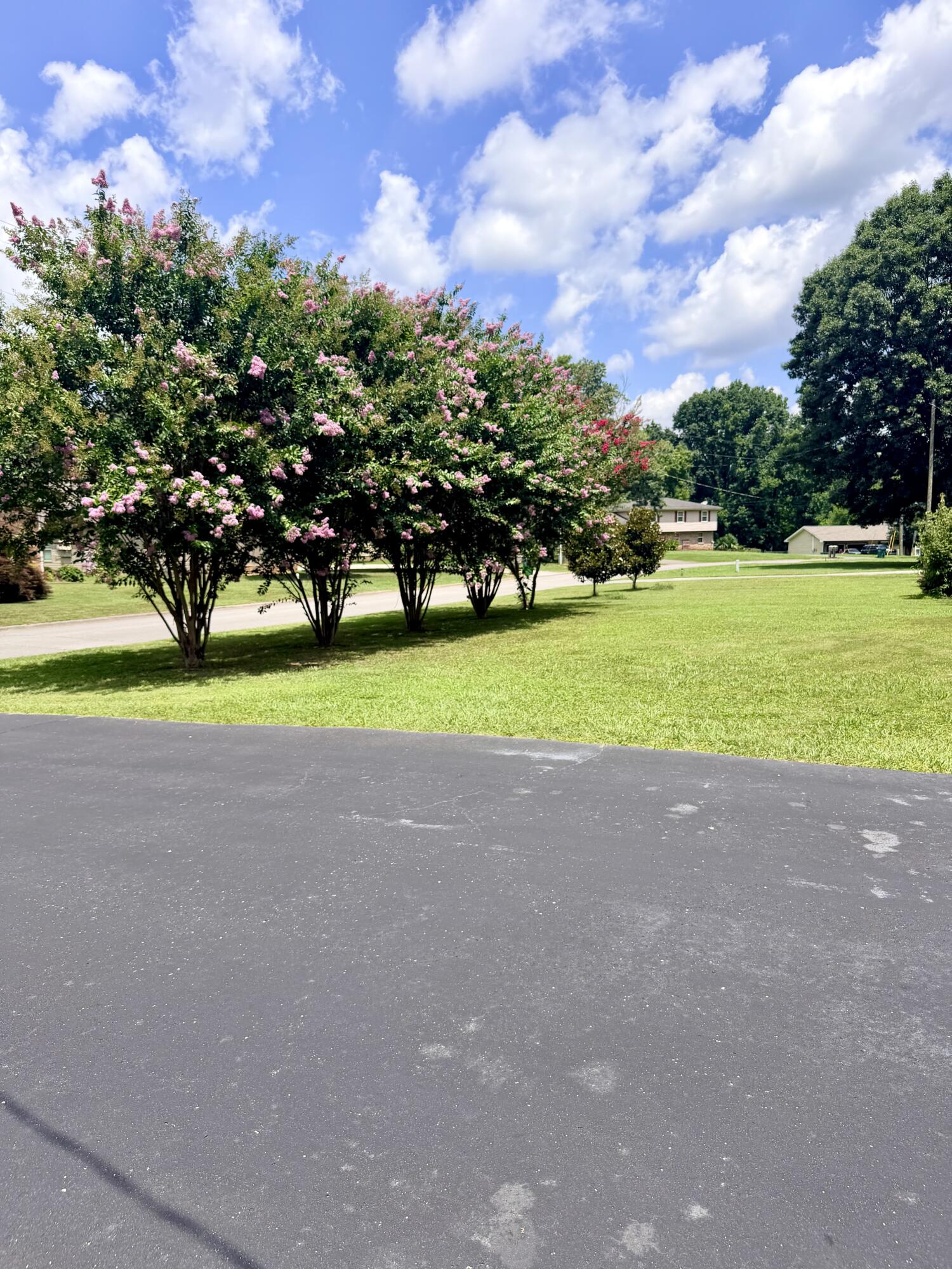 178 Meadow Green Drive Property Photo 28