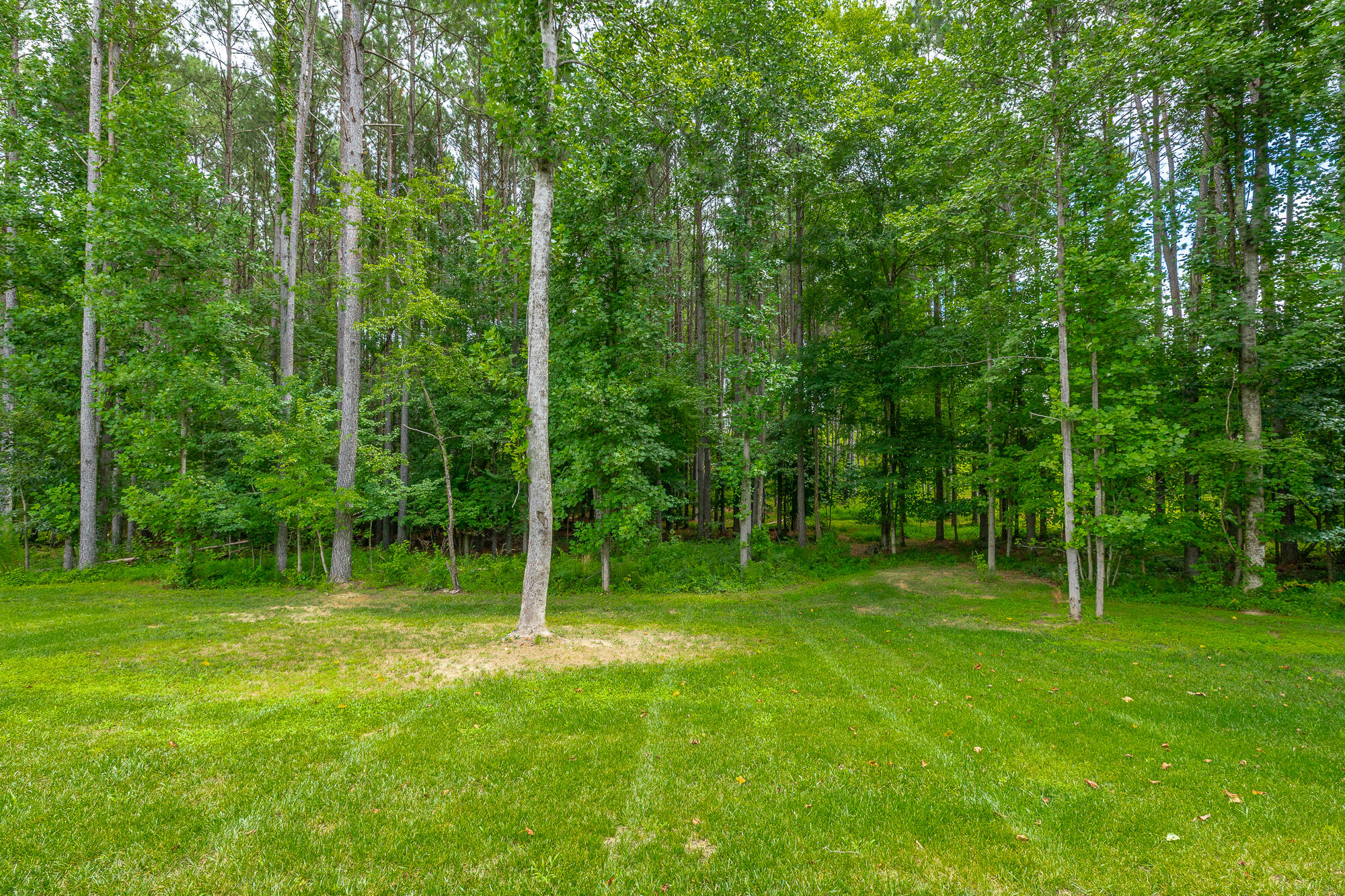 12071 Herrington Way Property Photo 54