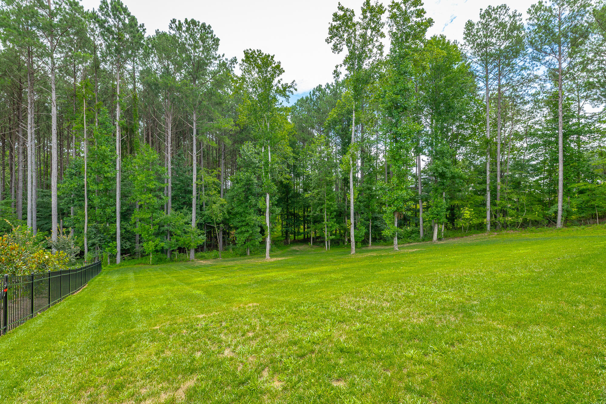 12071 Herrington Way Property Photo 56