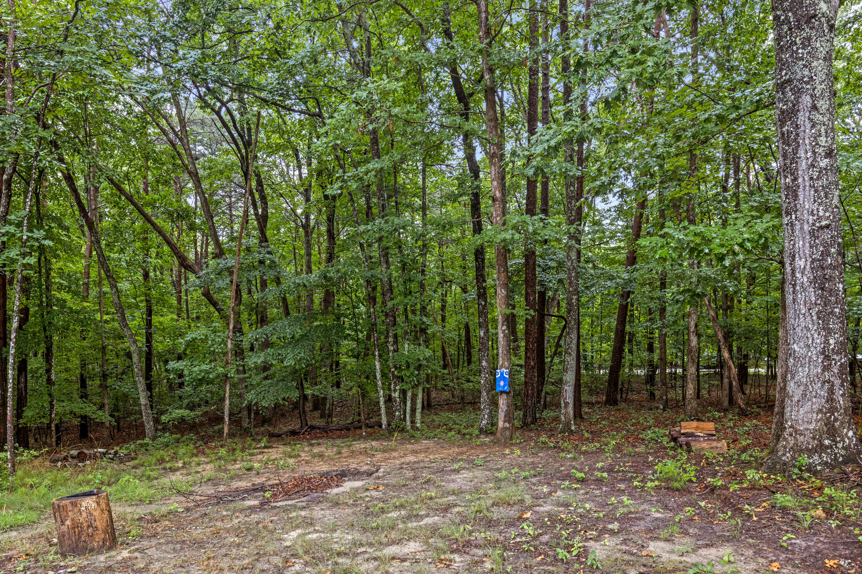 65 Eagle Bluff Road Property Photo 59