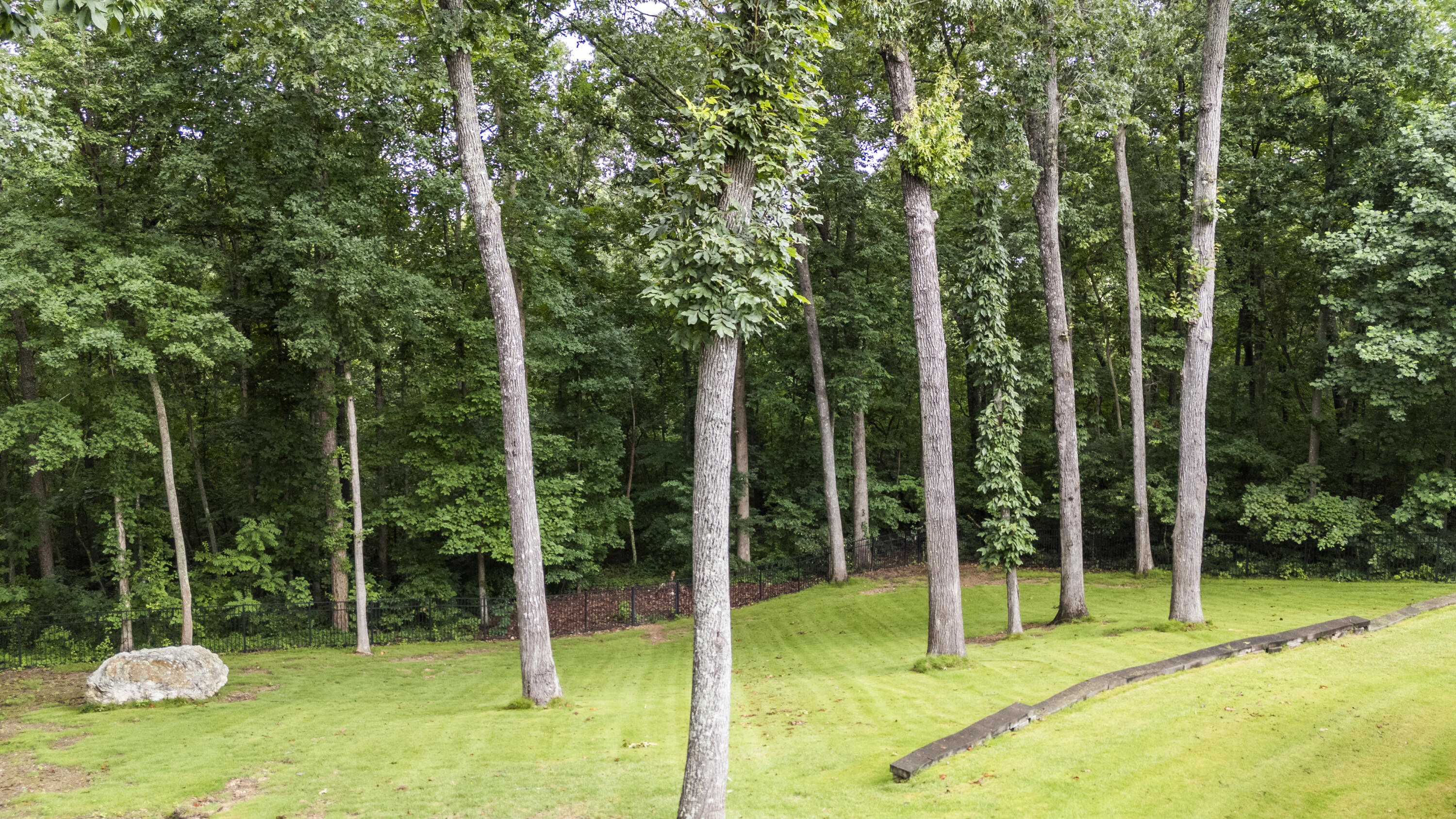175 Grandview Point Property Photo 41