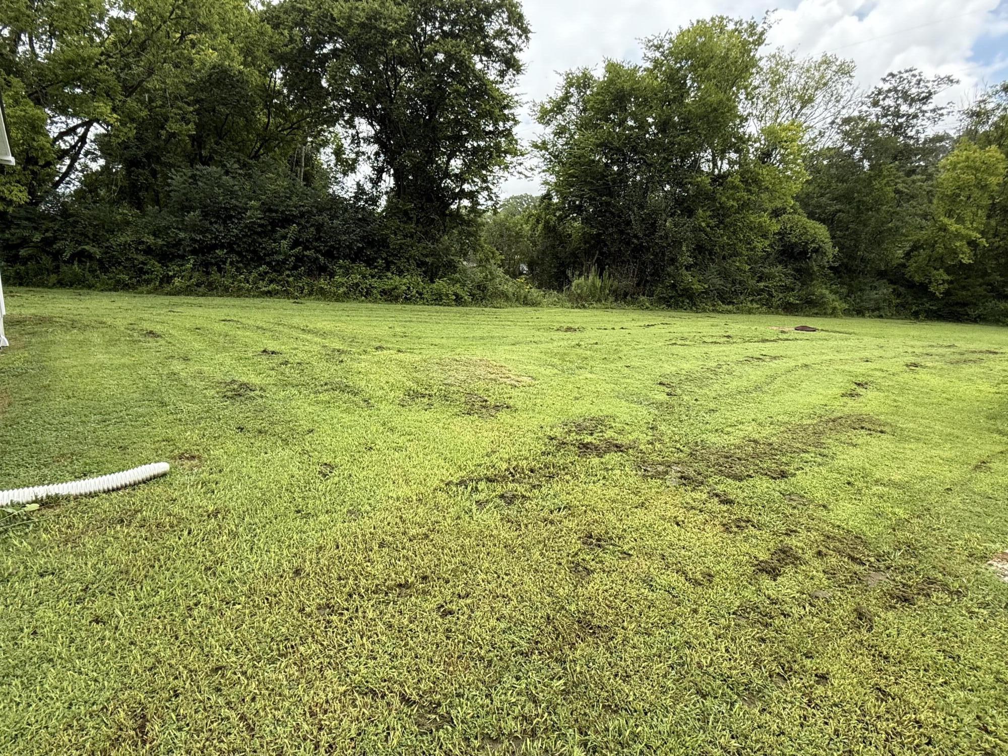 1540077 Property Photo 24