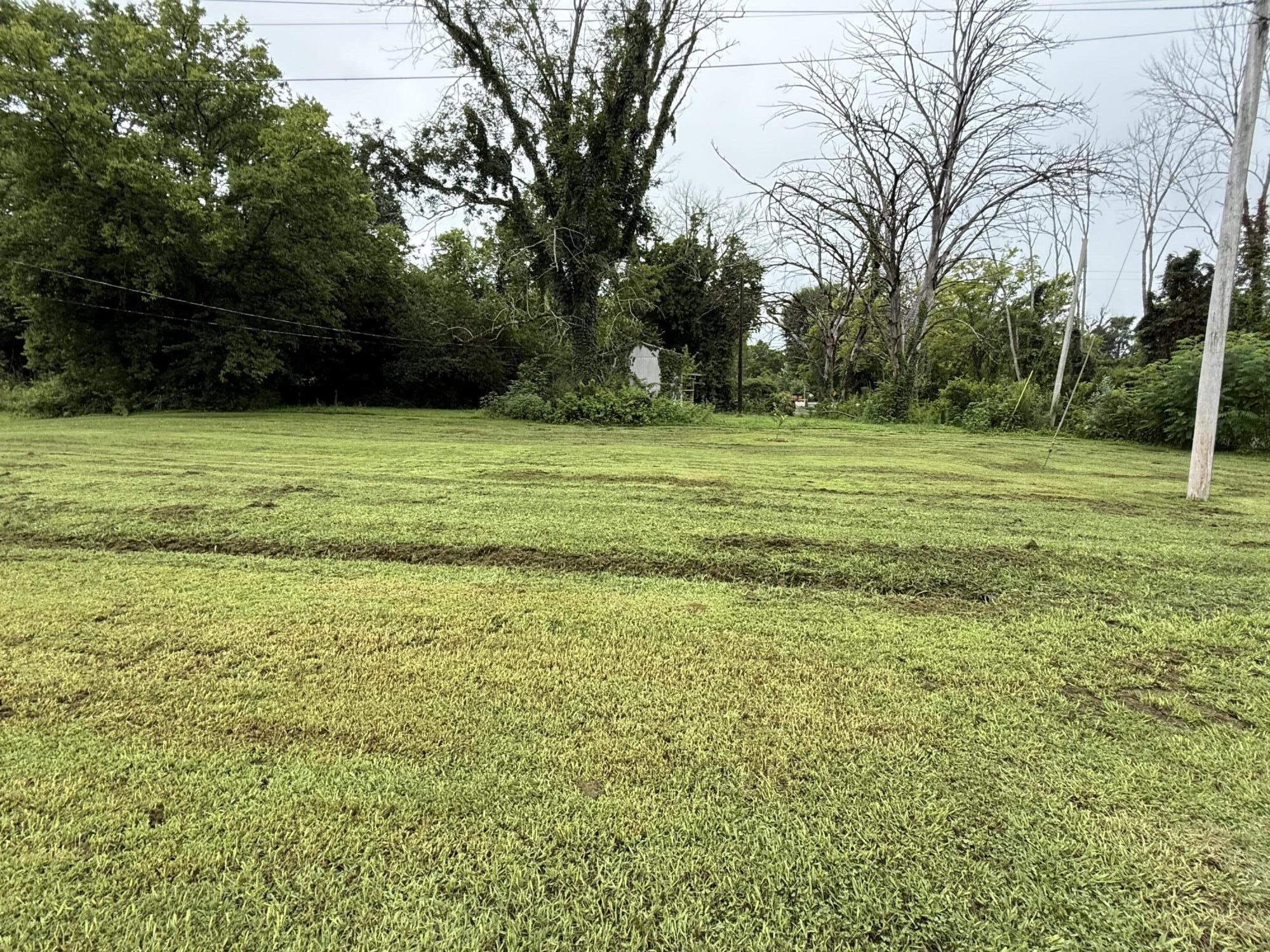 1540077 Property Photo 29