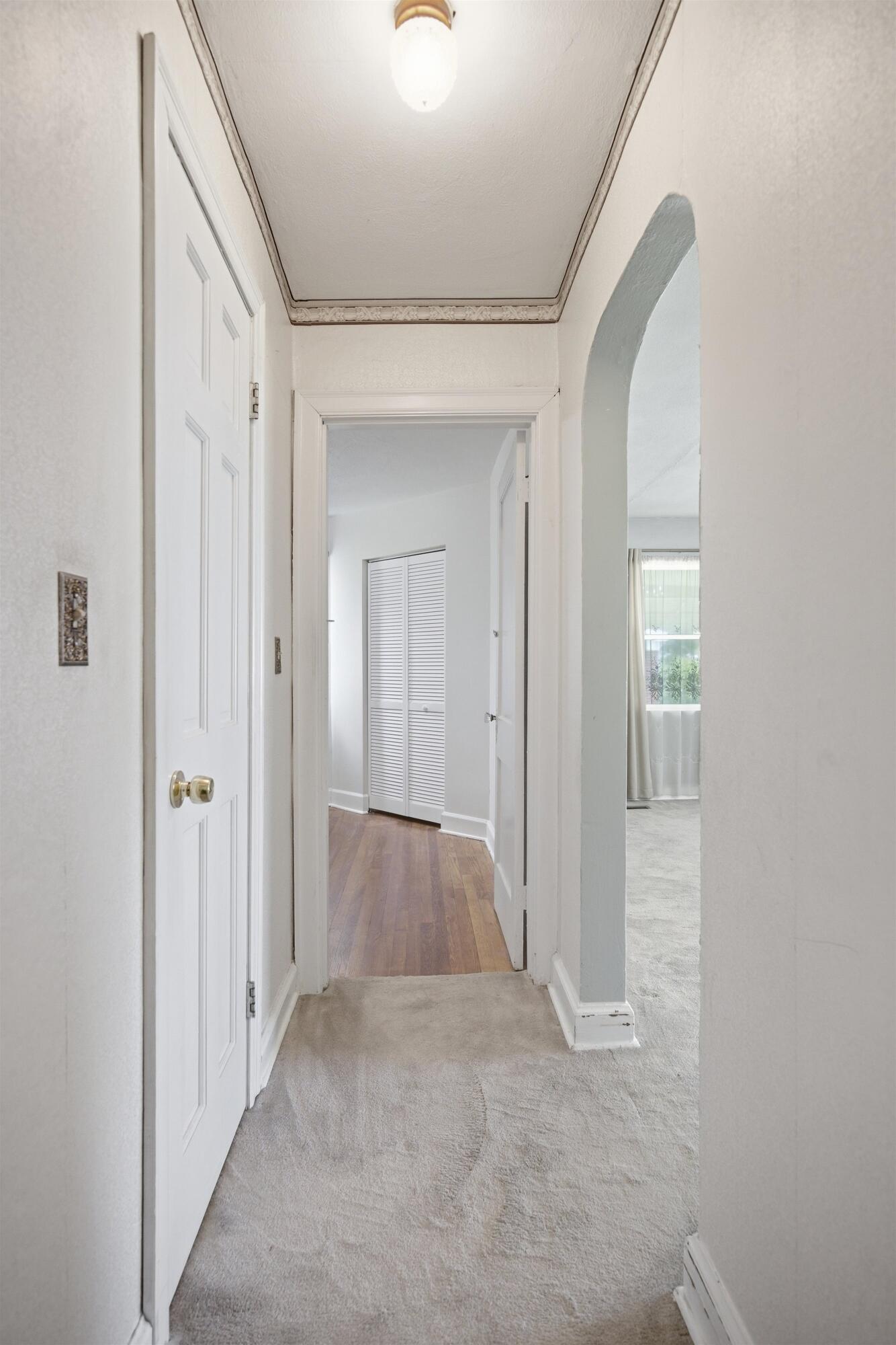 8 Ormand Drive Property Photo 17