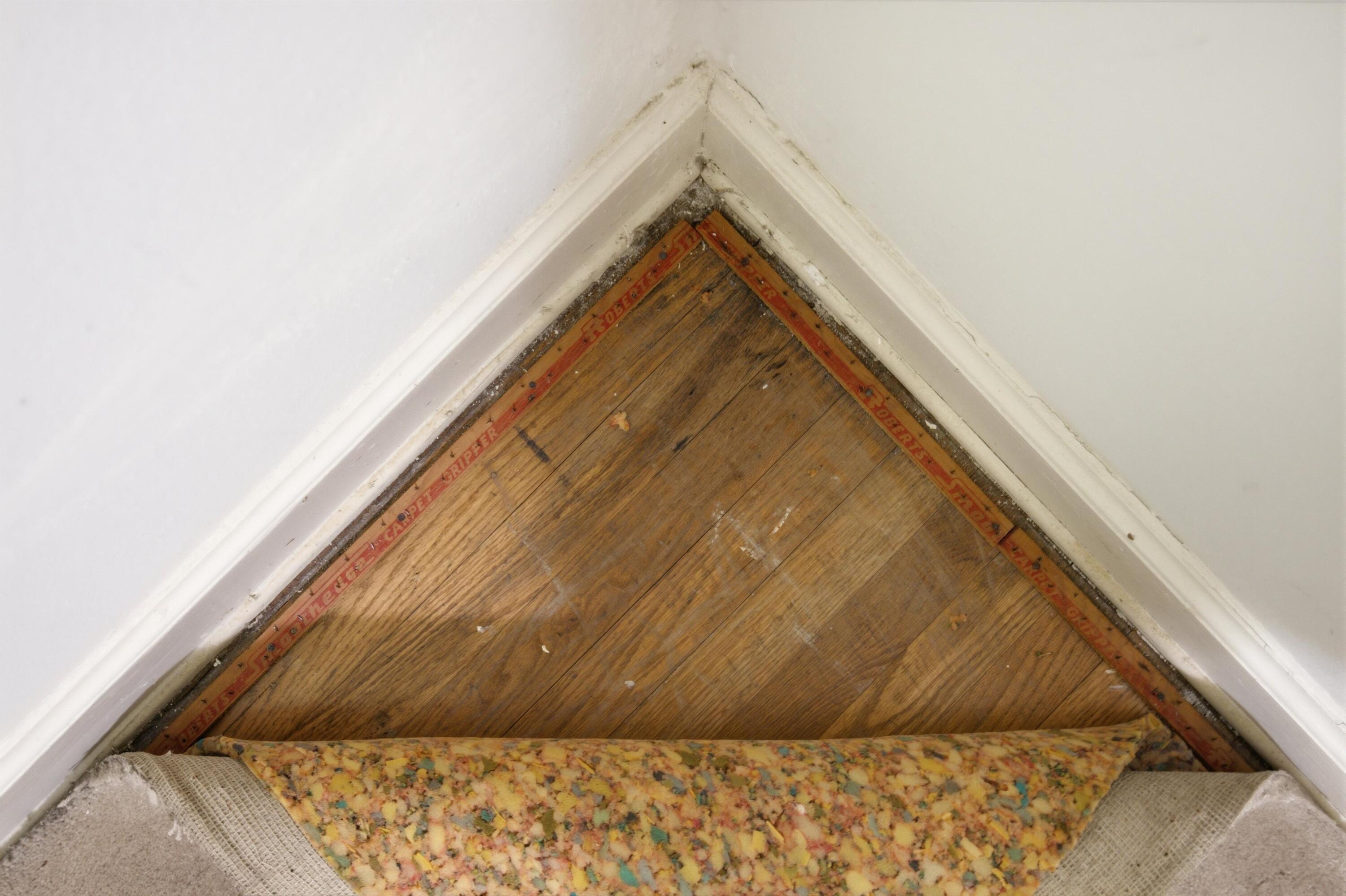 8 Ormand Drive Property Photo 22