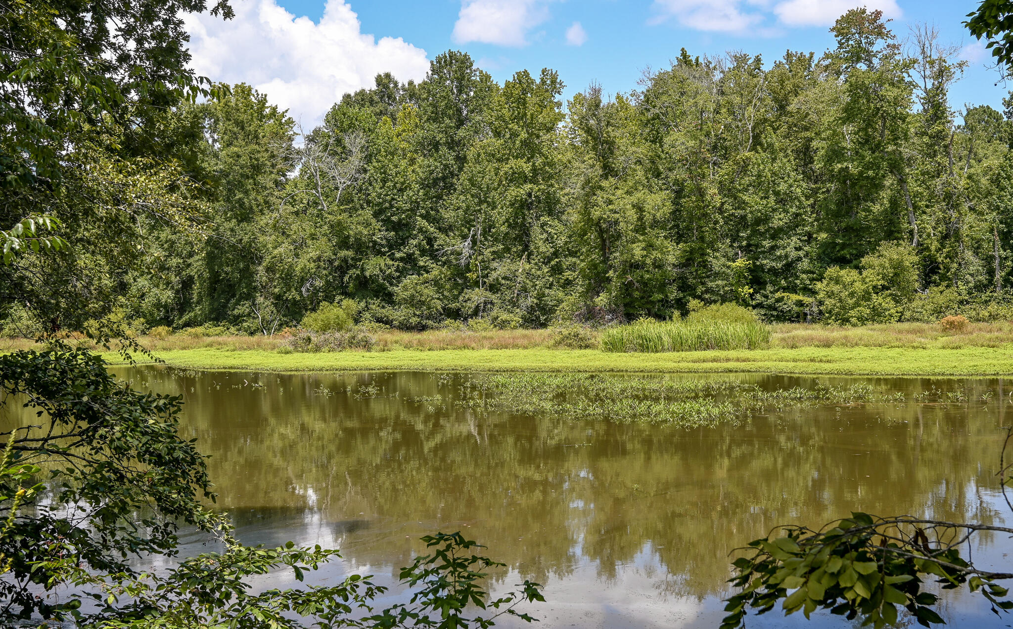 236 Sam Johnson Road Nw Property Photo 58