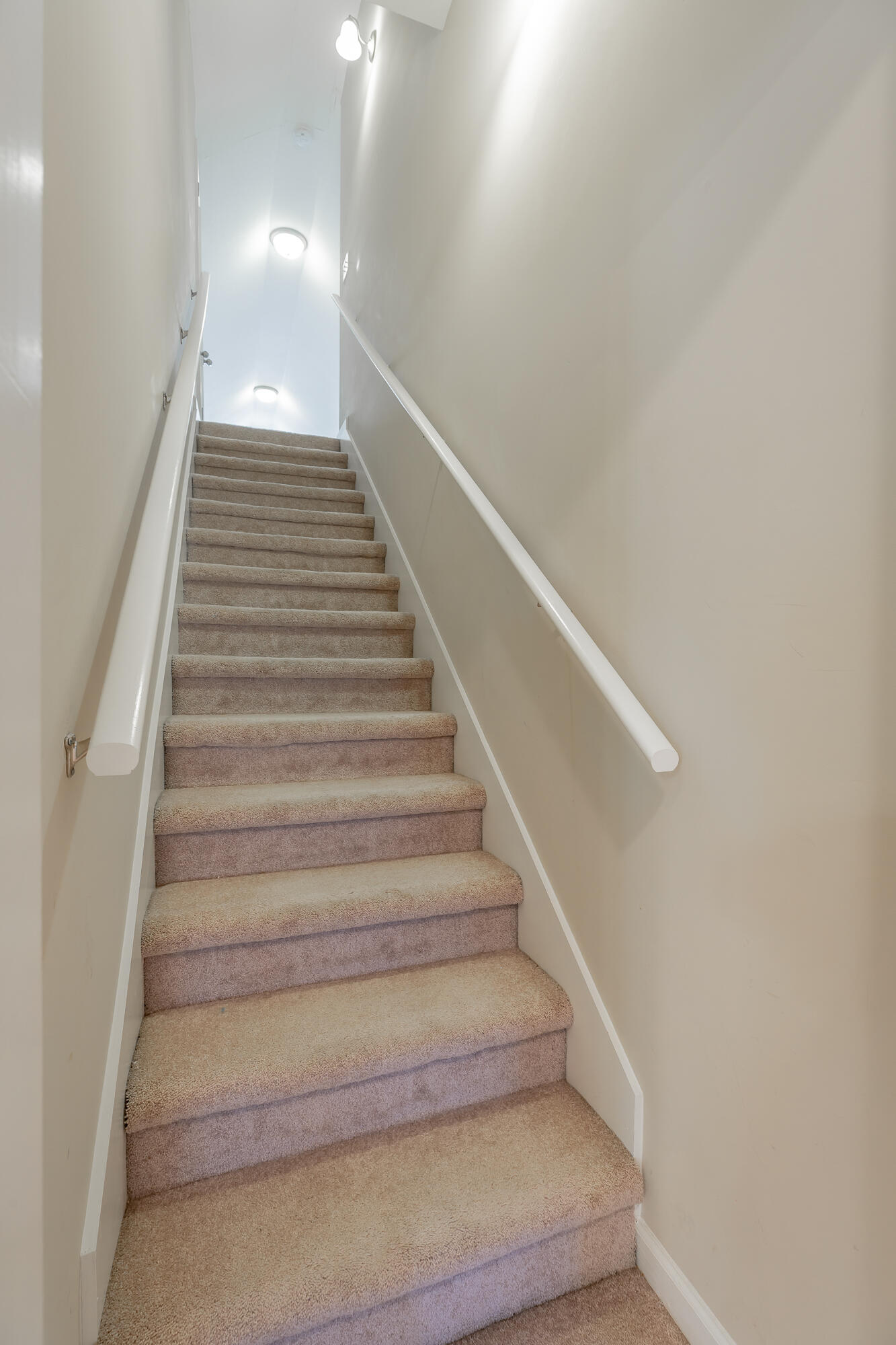 1315 Jackson Mill Drive Property Photo 52