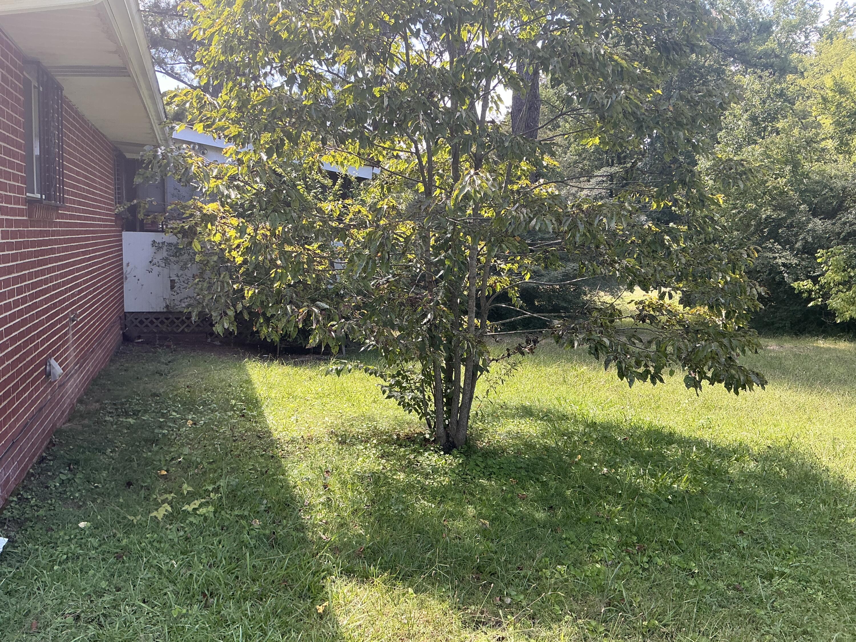 5507 Upshaw Drive Property Photo 10