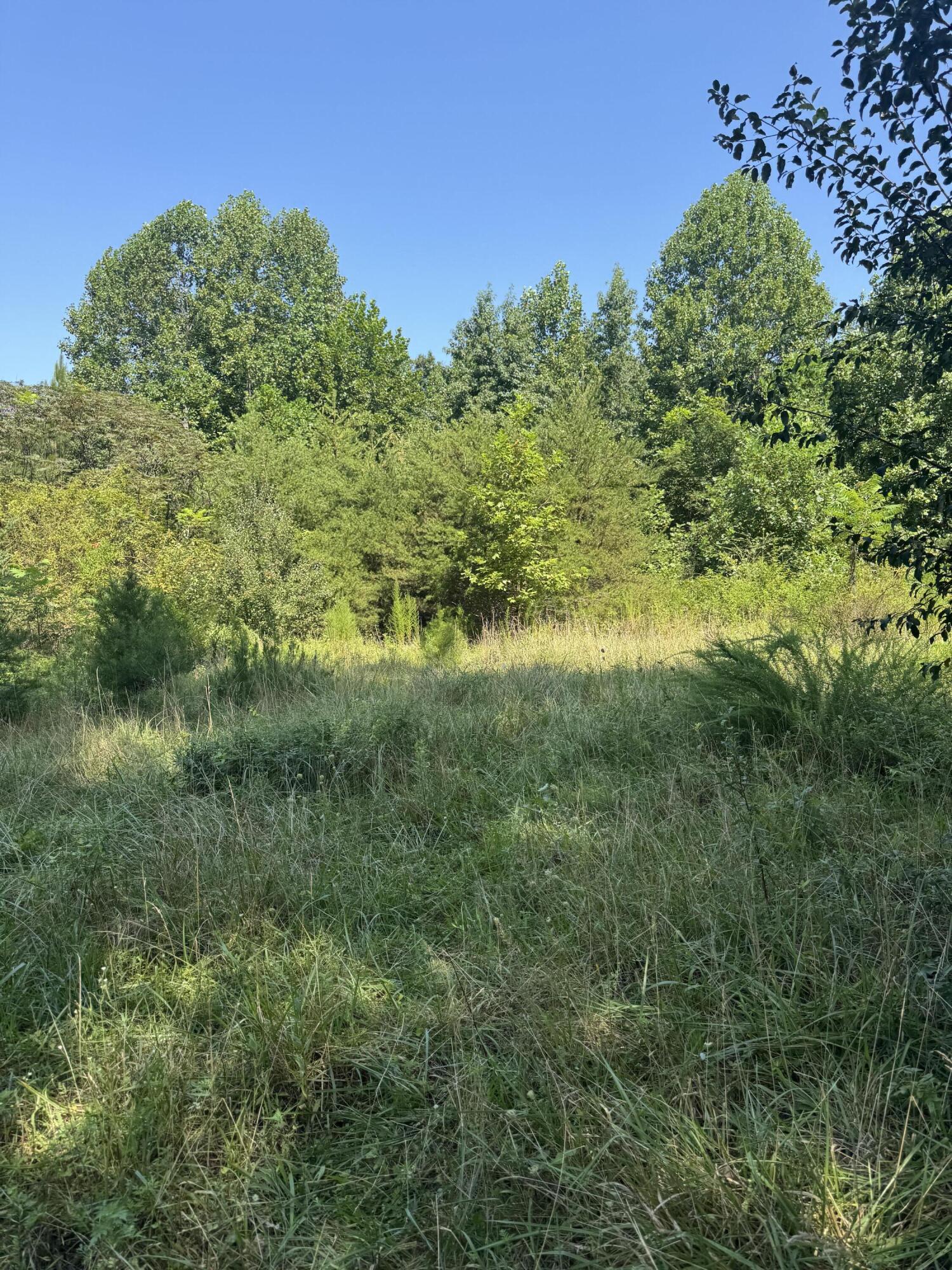 704 Windstone Drive Property Photo 1