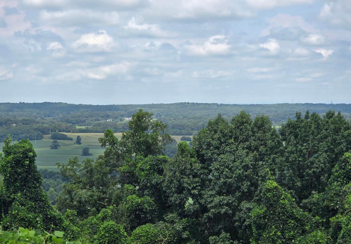 1540858 Property Photo 4