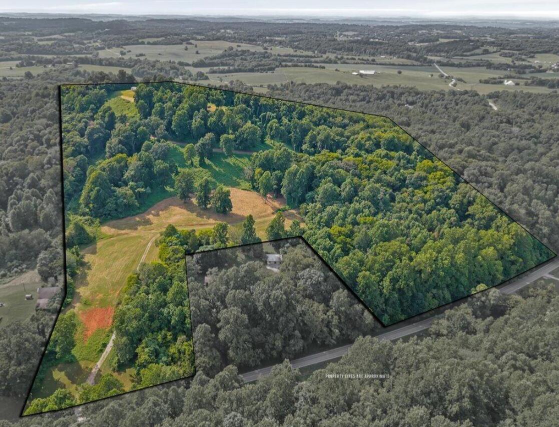 1540858 Property Photo 6