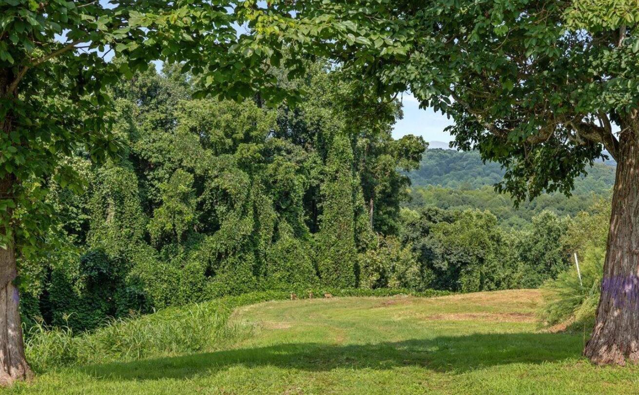1540858 Property Photo 25