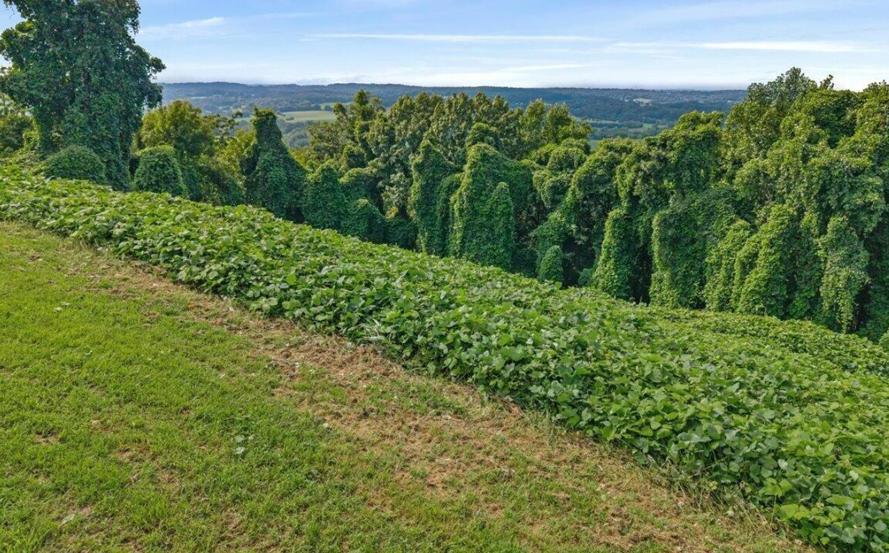 1540858 Property Photo 30