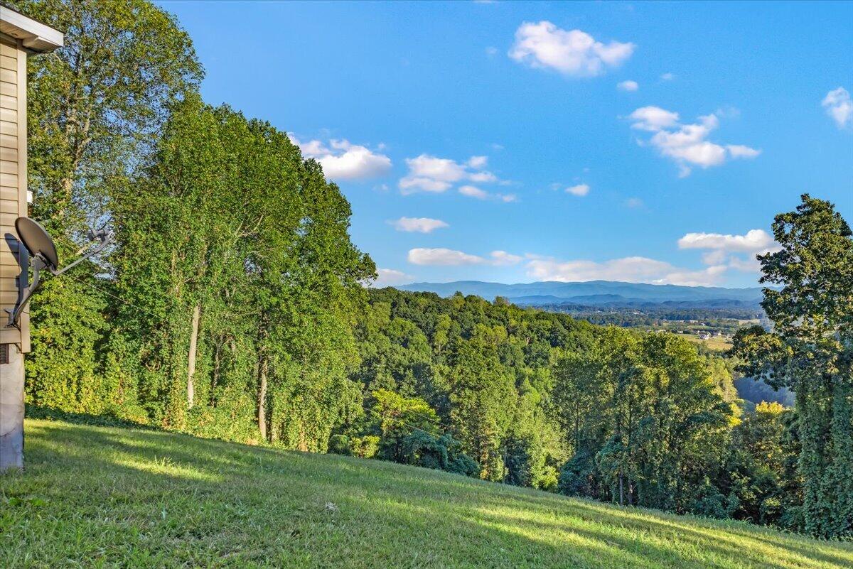 1540858 Property Photo 33
