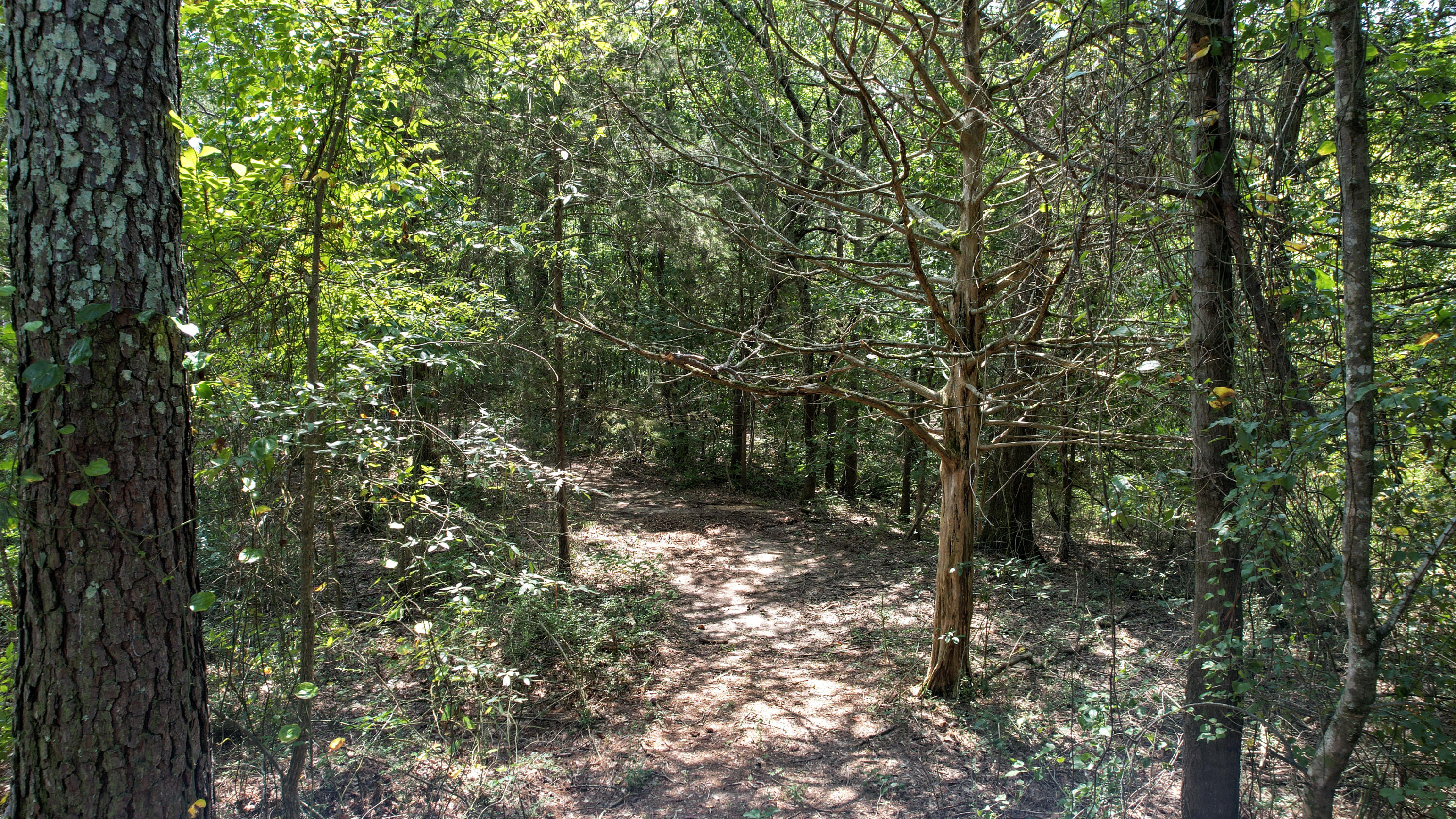 300 Mcclure Road Property Photo 77