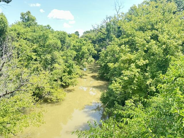 3113 Riverwalk Way Property Photo 43