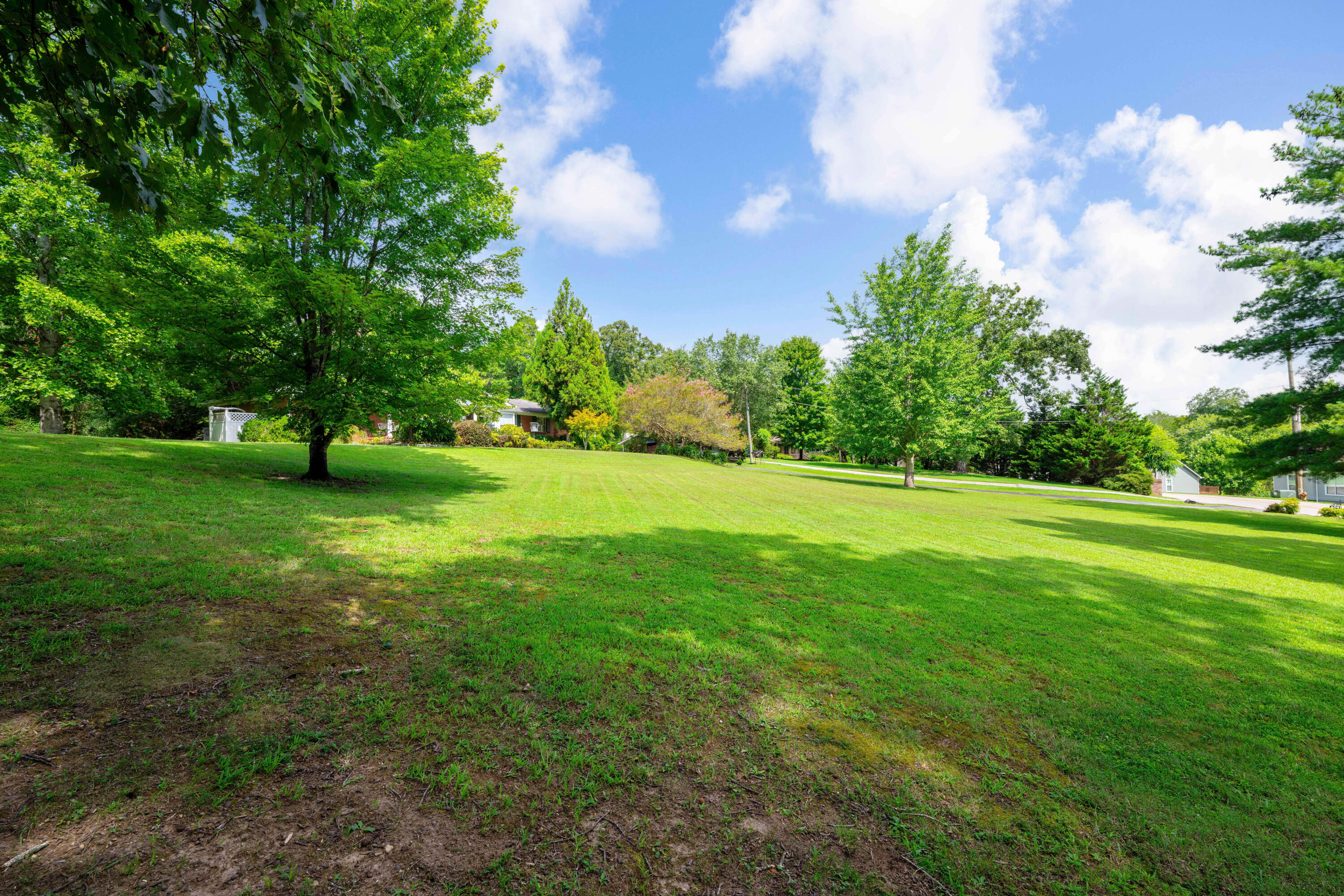 409 White Road Property Photo 3