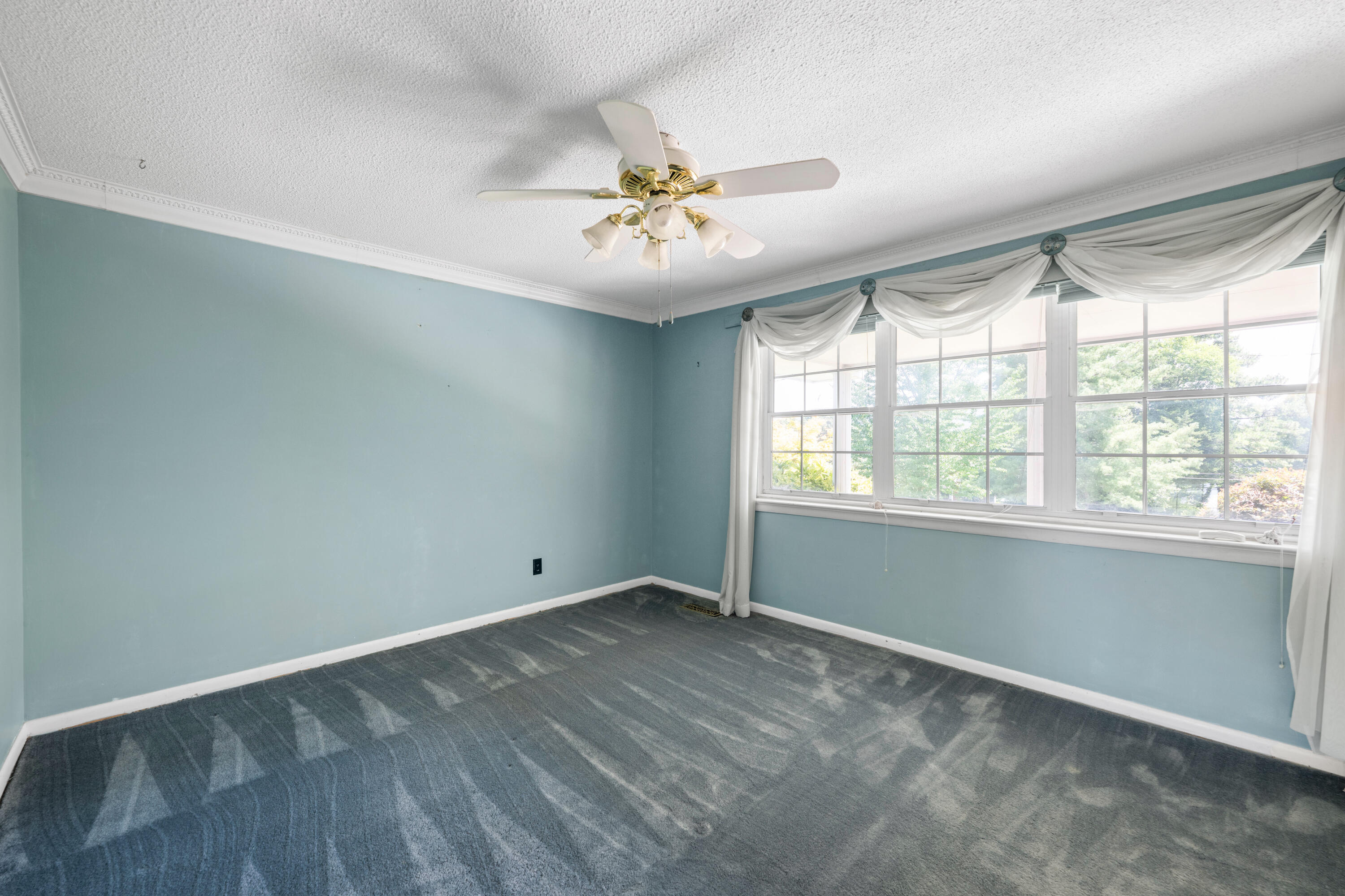409 White Road Property Photo 20