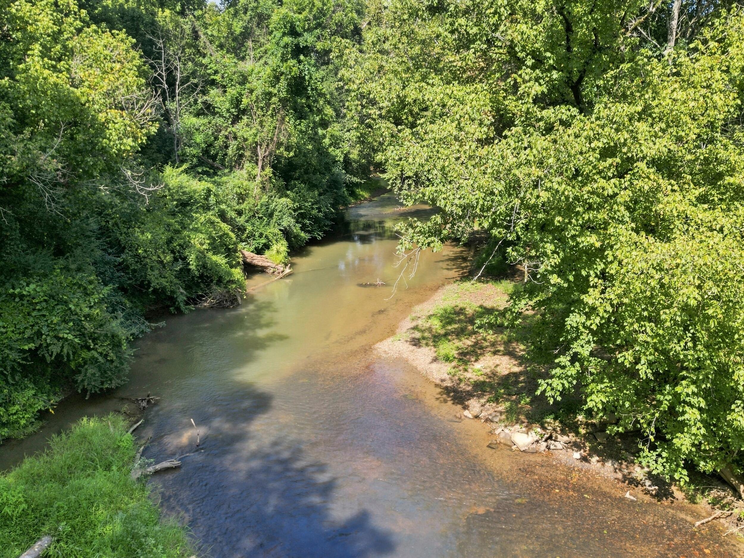 937 Creek Road Property Photo 4