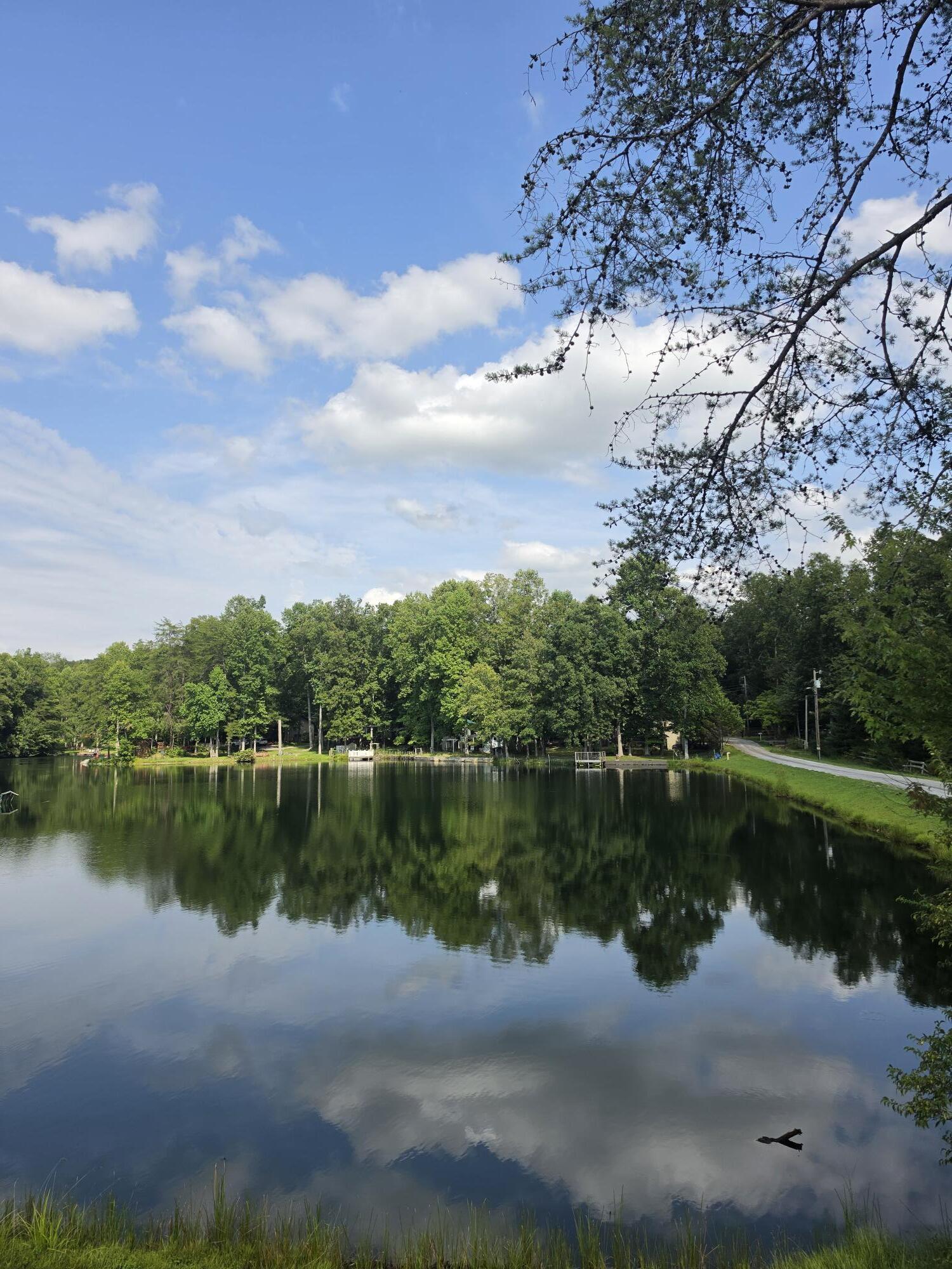 292 David Crockett Road Property Photo 1