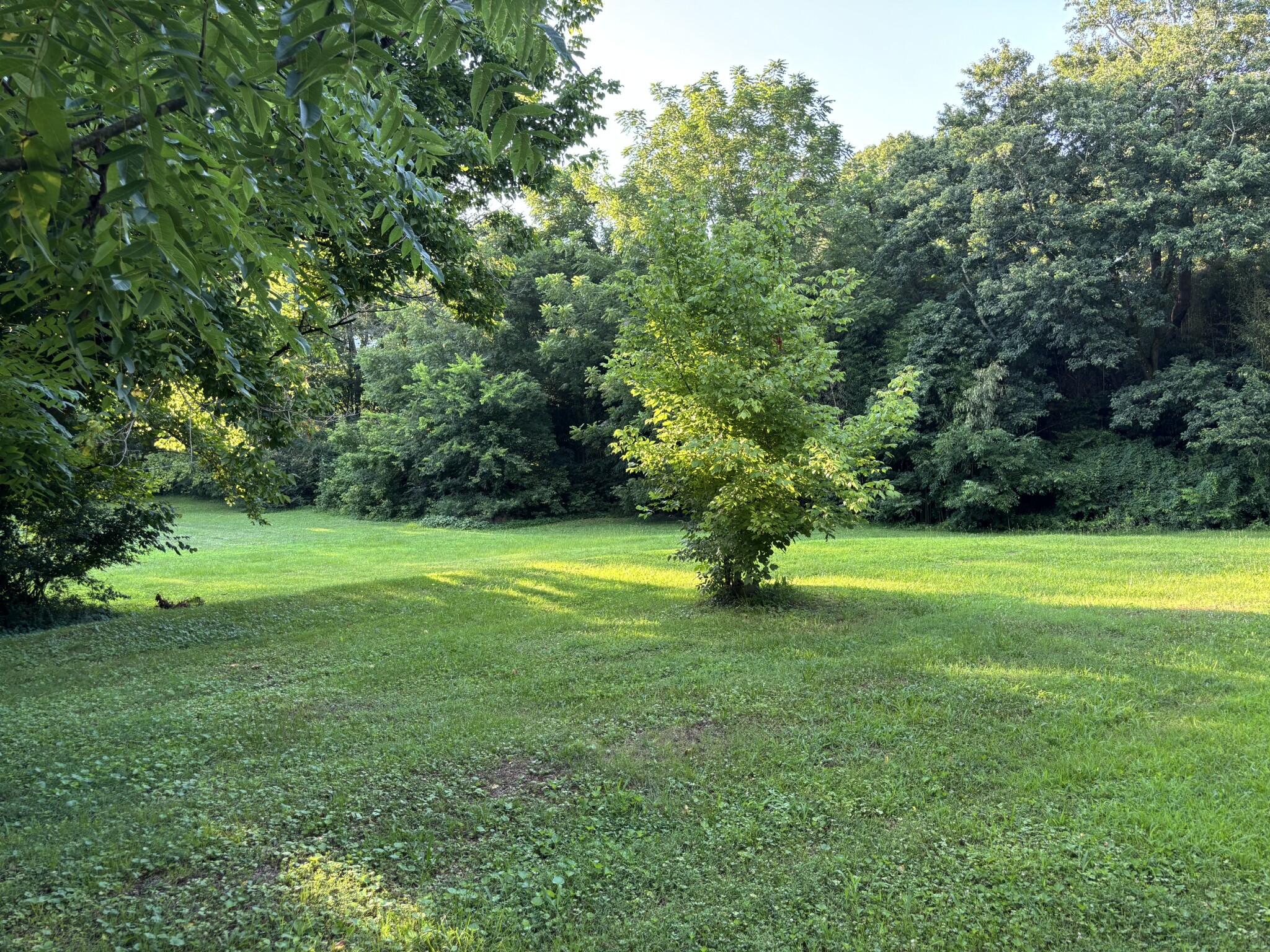 463 E Illinois Avenue Property Photo 17