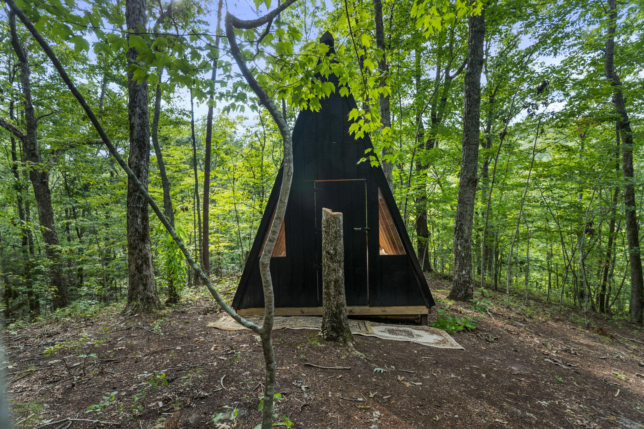 751 Owl Hollow Road Property Photo 39
