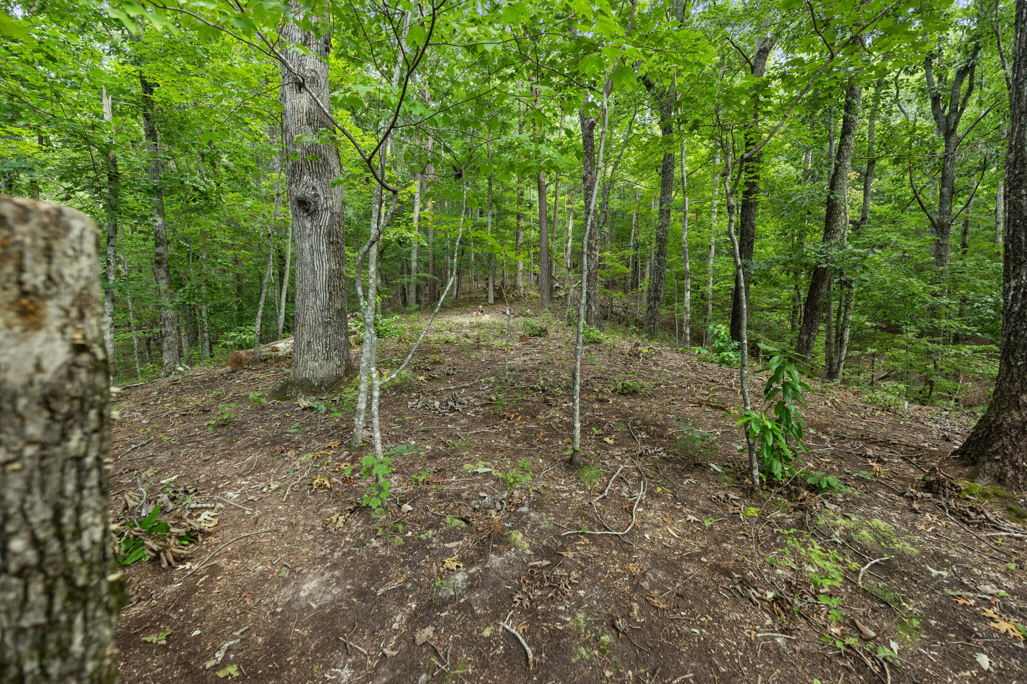 751 Owl Hollow Road Property Photo 44