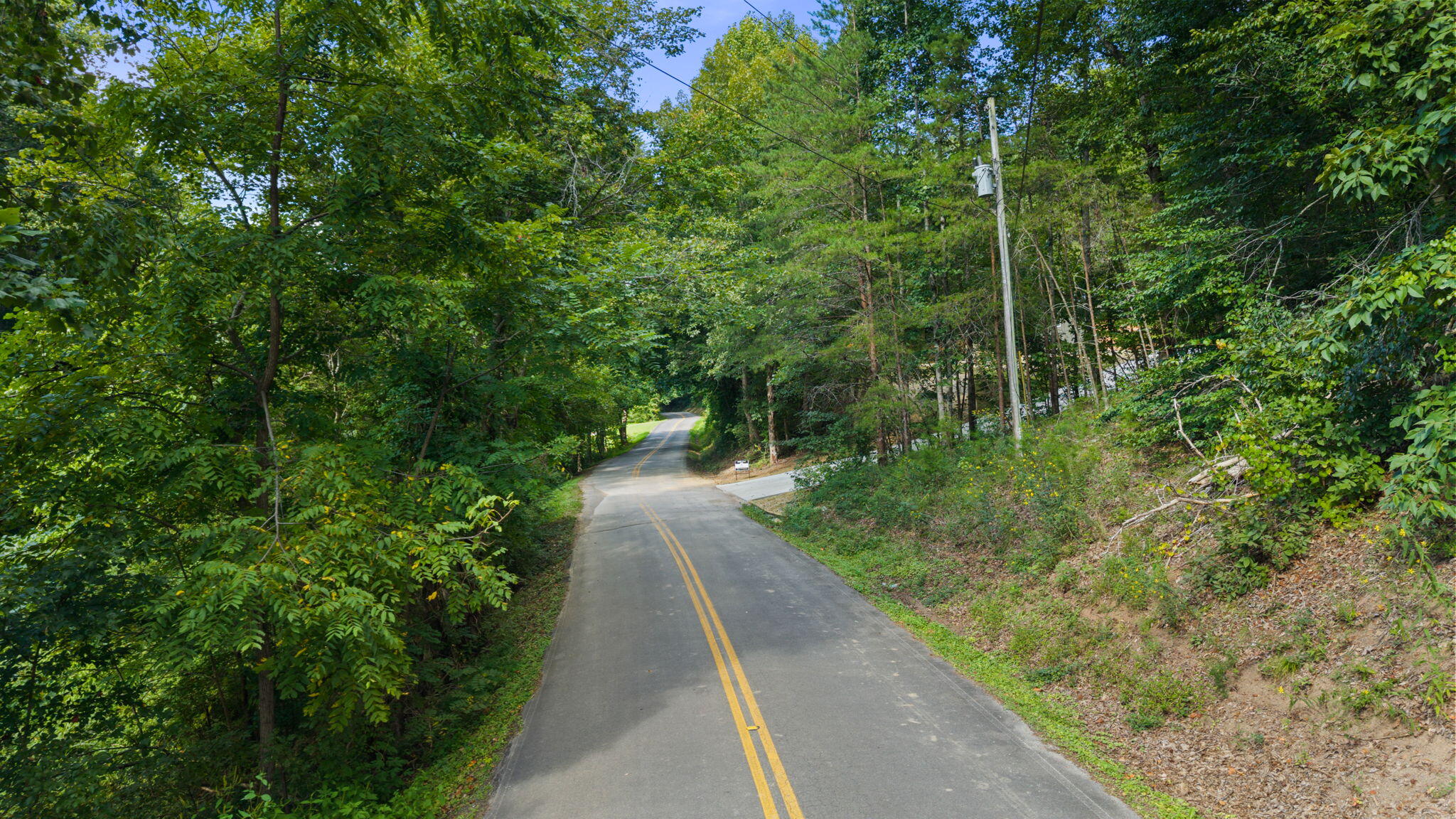 751 Owl Hollow Road Property Photo 48