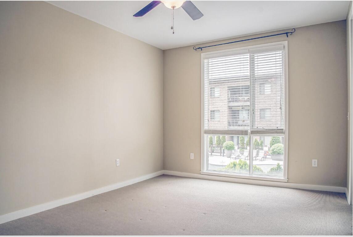 1541622 Property Photo 6