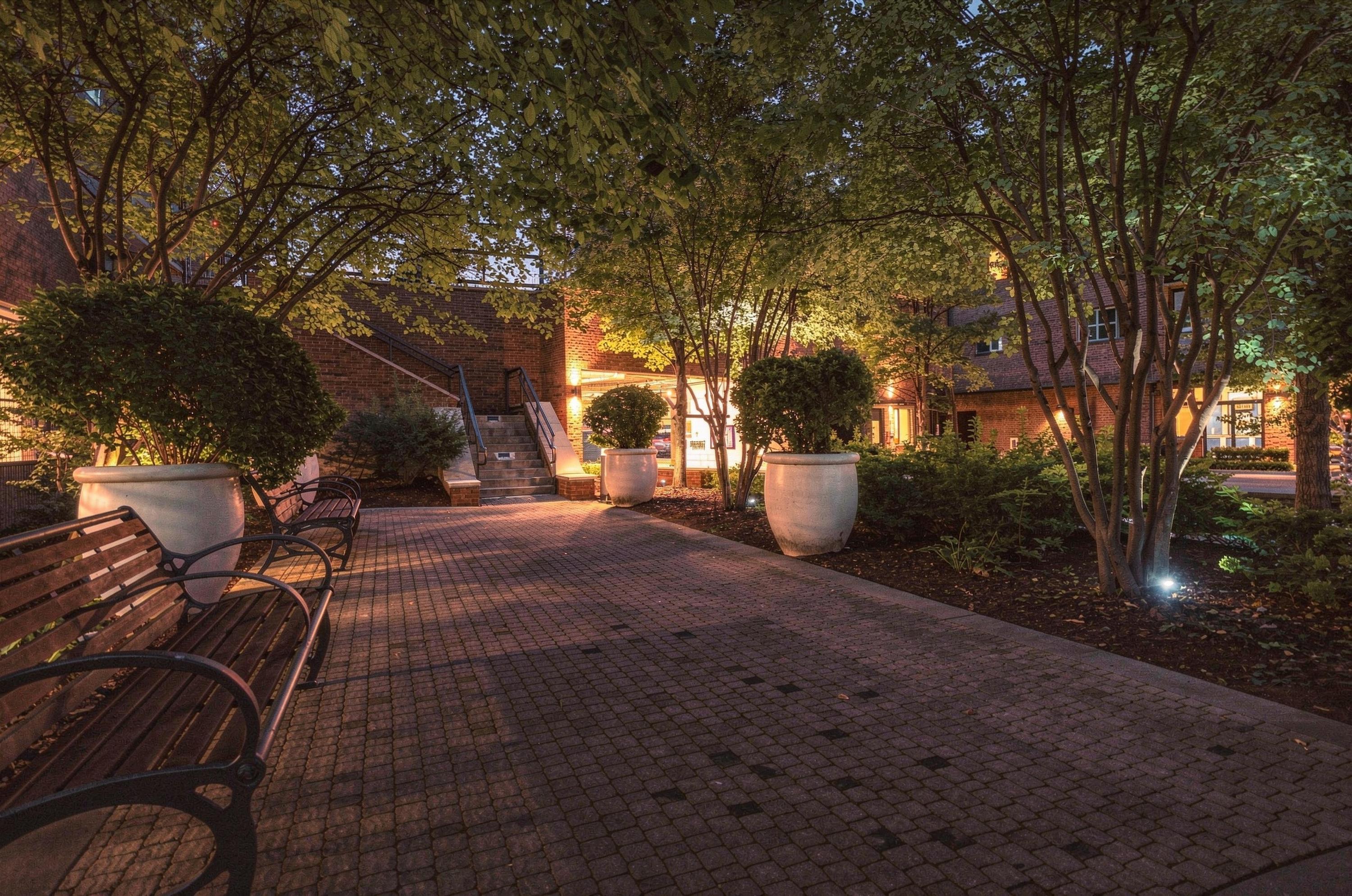 1541622 Property Photo 55