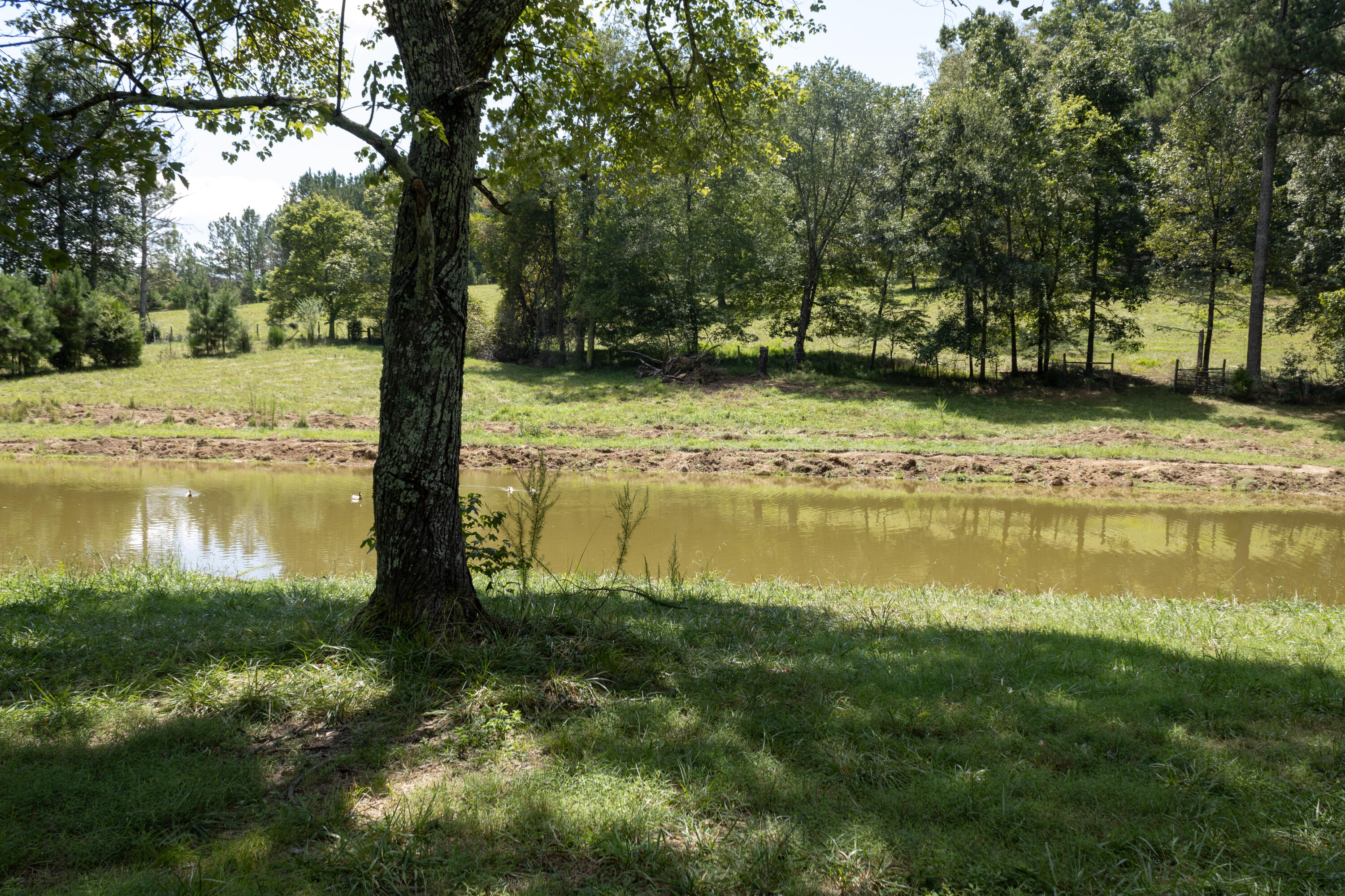 4412 Highway S 27 Property Photo 10